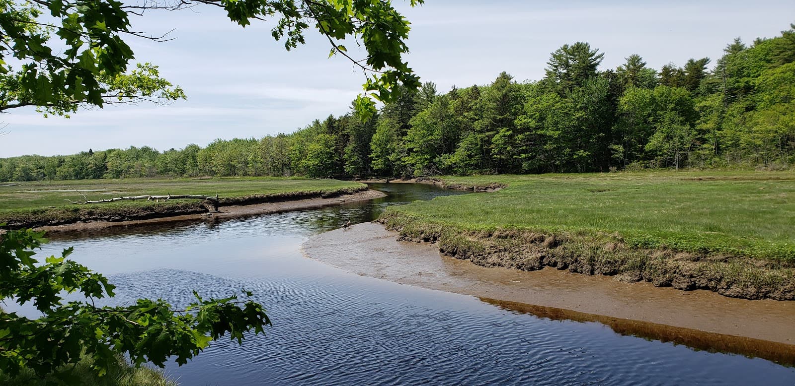 Rachel Carson NWR — Carson Trail - Image 1