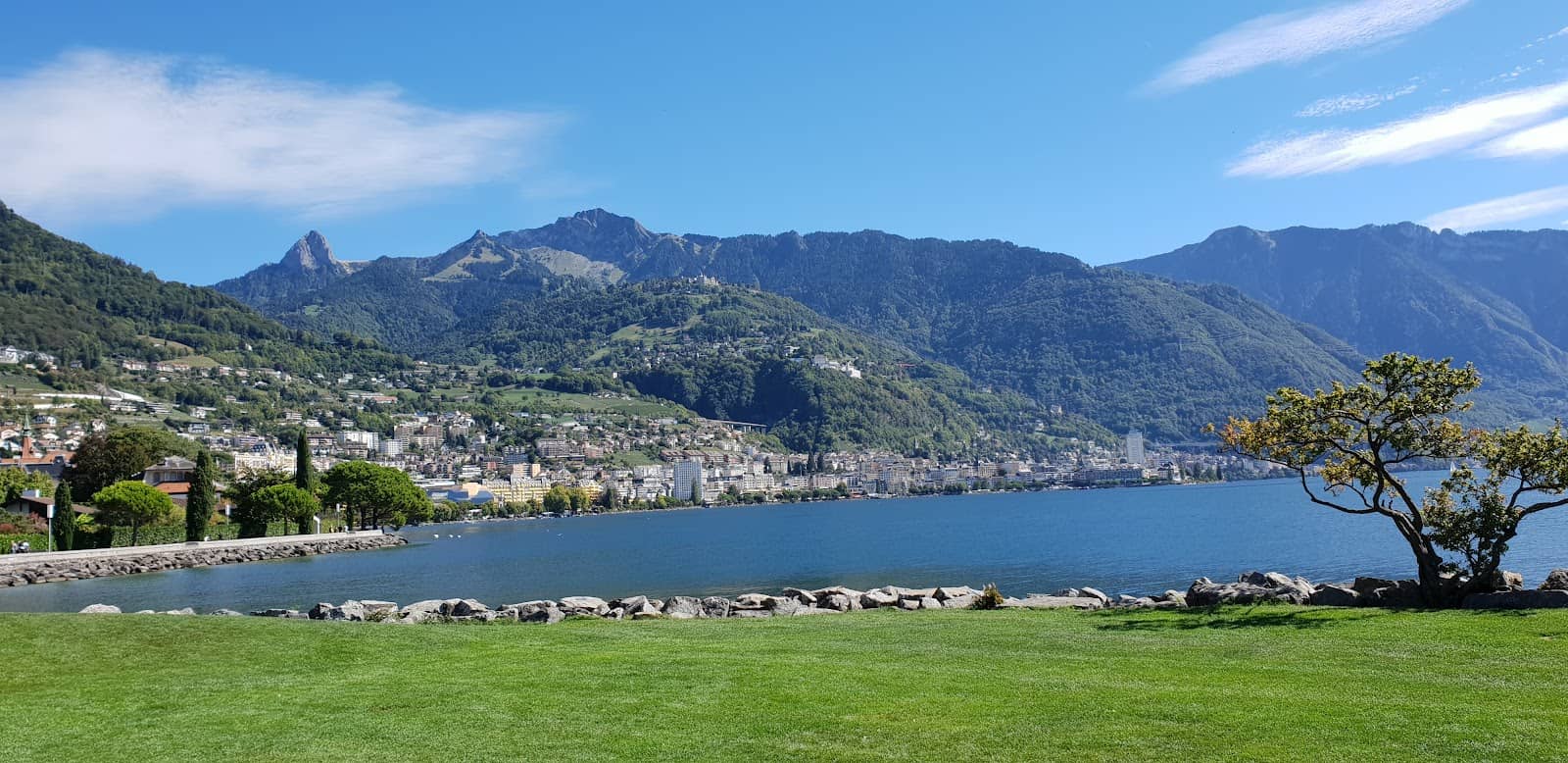 Art and Wine Gallery on Main