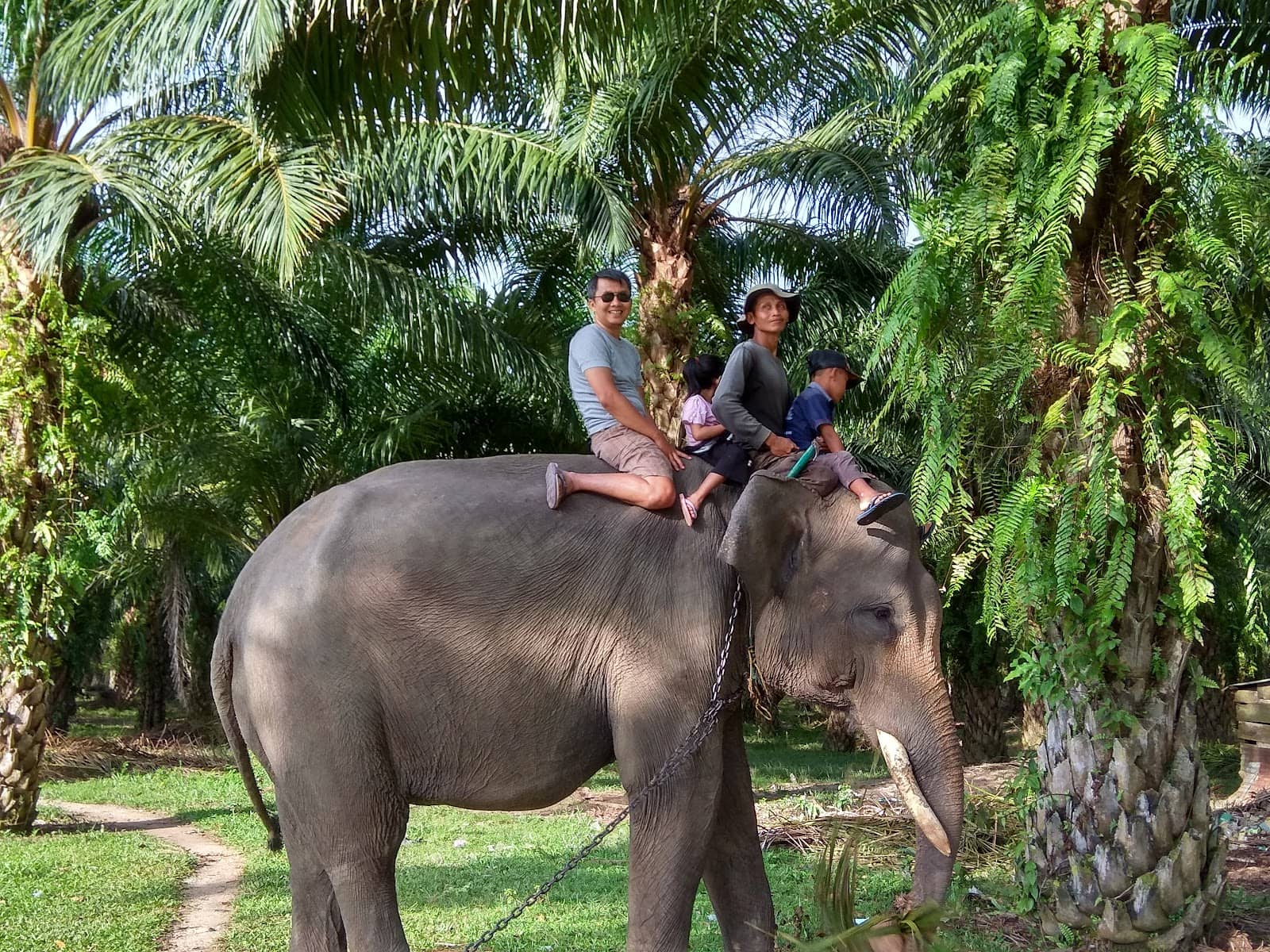 Jungle Trekking Adventures