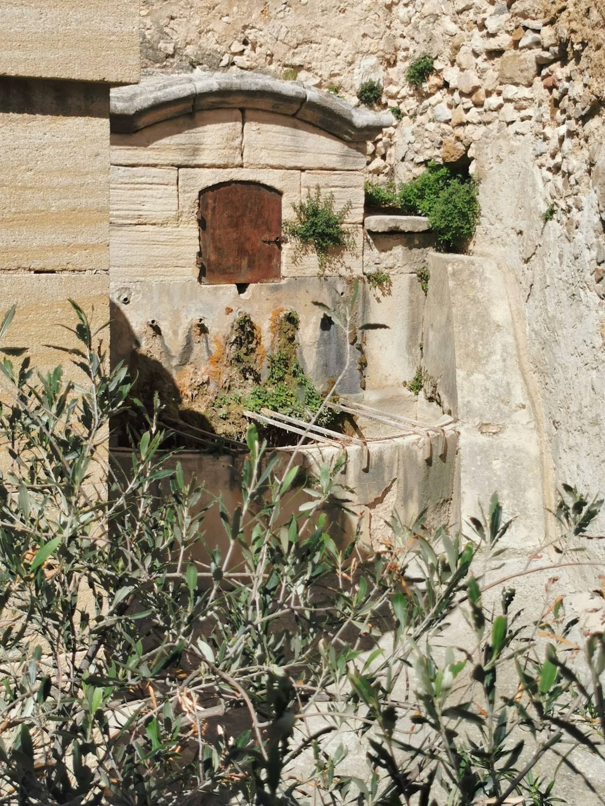 Vertical photo