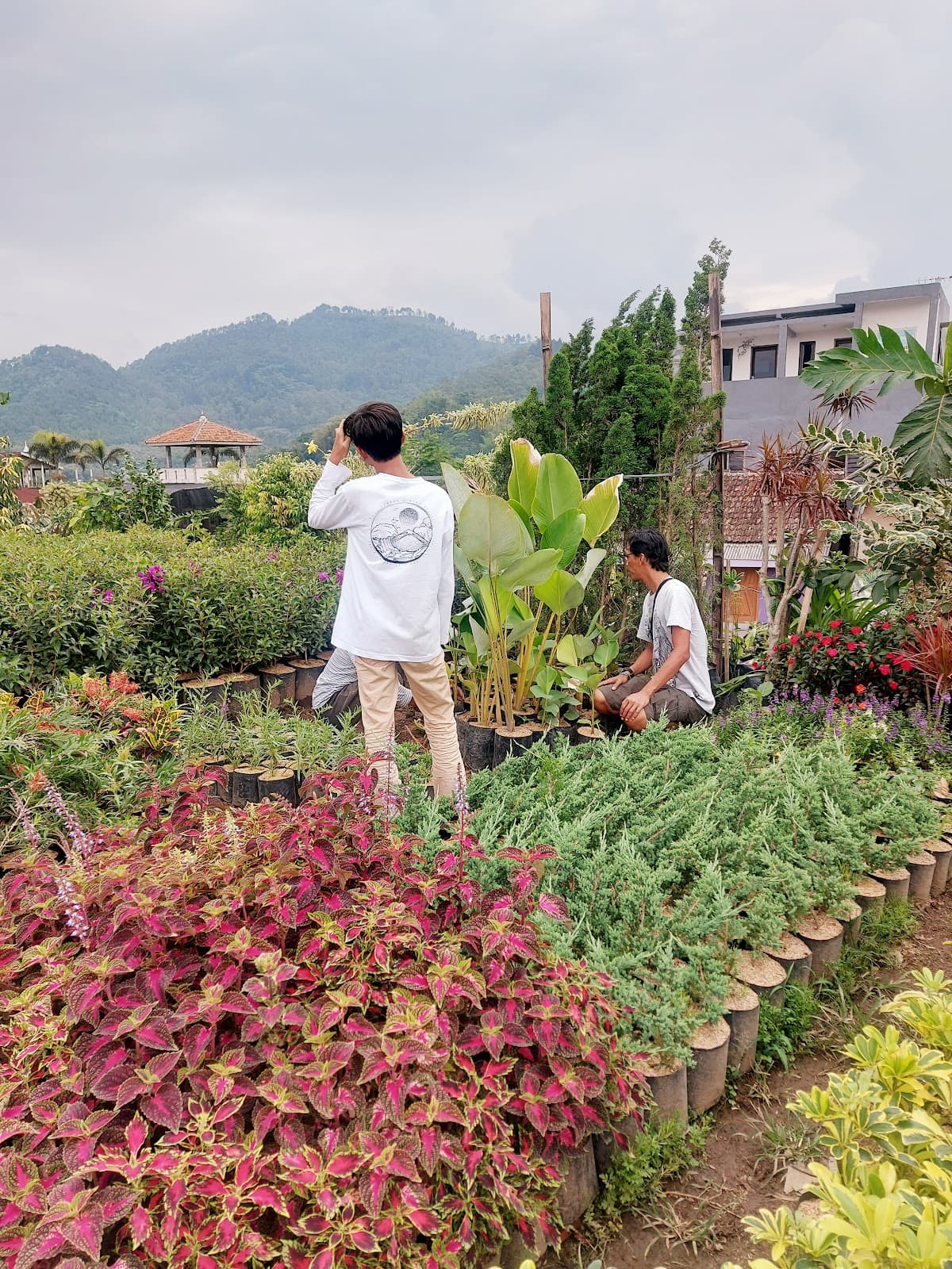 Sidomulyo Flower Village - Image 1