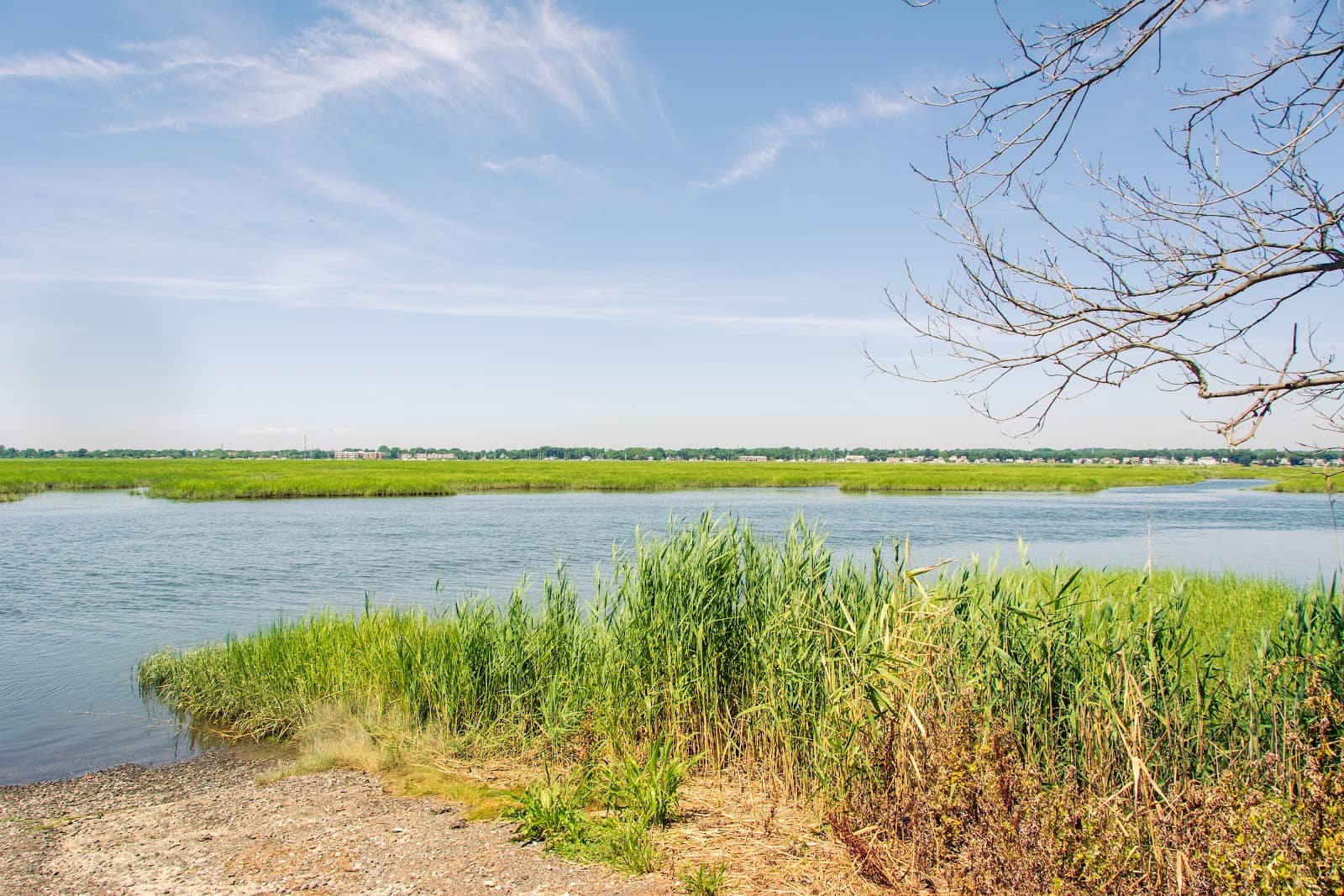 Diverse Wildlife Viewing