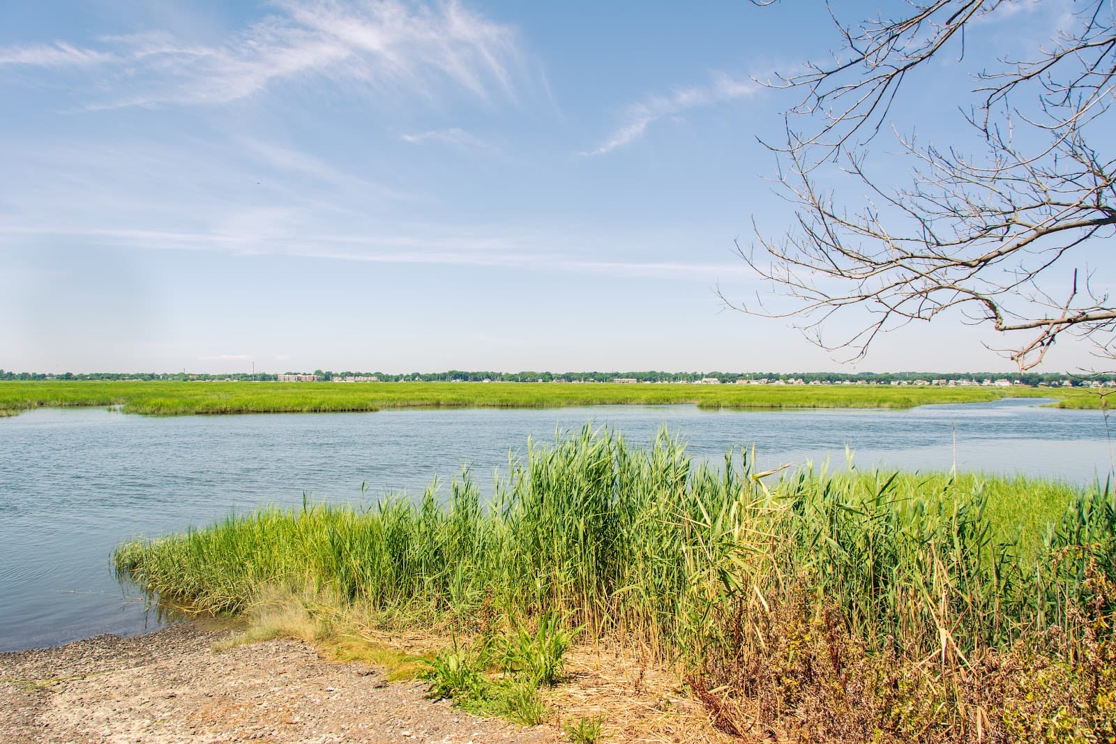 Wheeler Marsh - Image 1