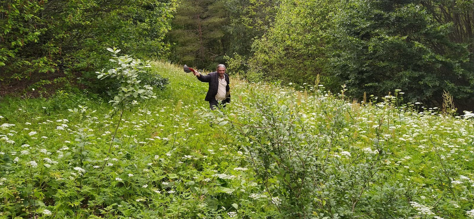 Yeşilce (Mesudiye) - Image 1