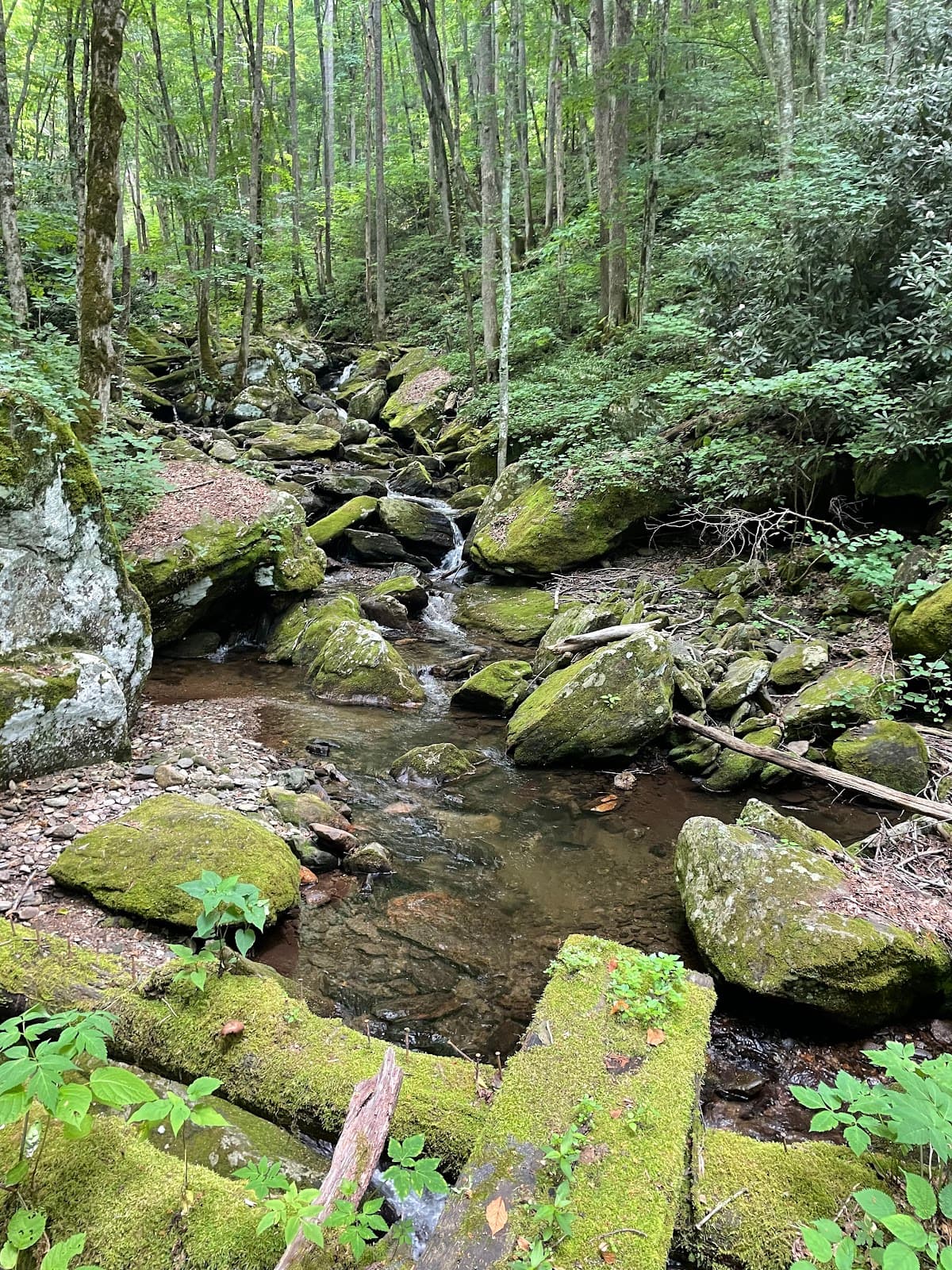 Black Mountain Crest Trail - Image 1