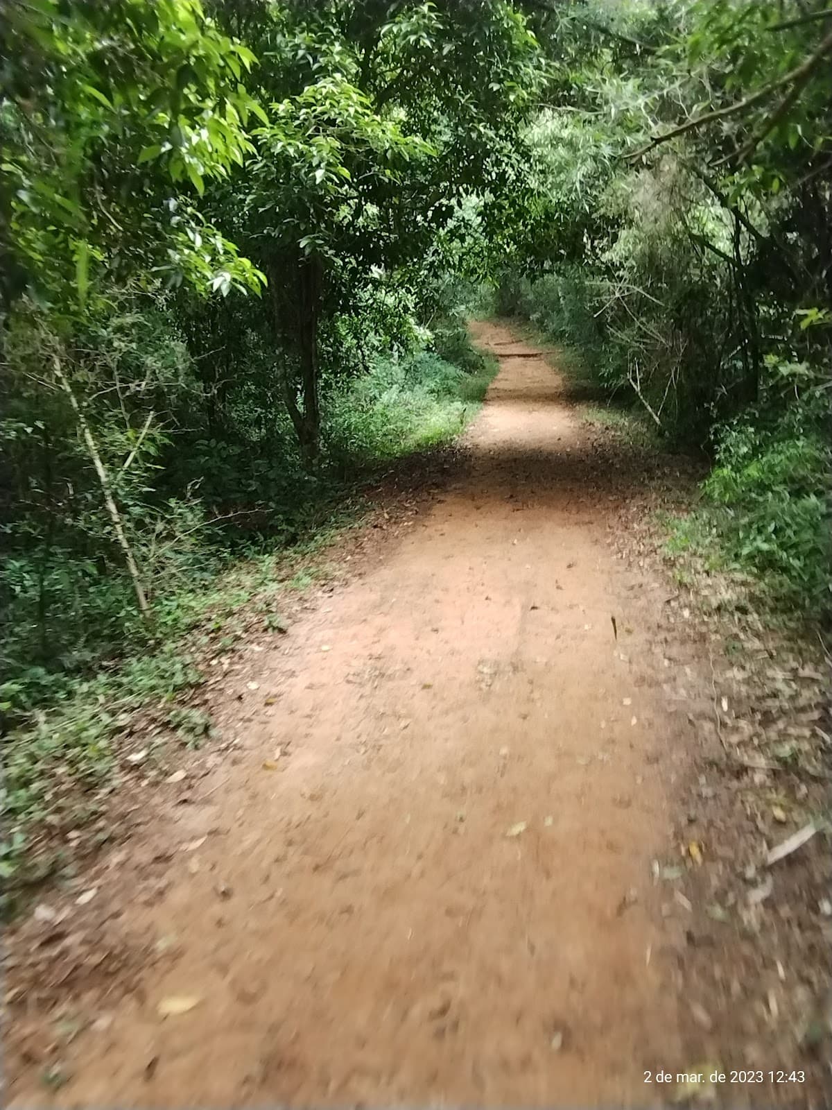 Macuco Trail Iguazu National Park - Image 1
