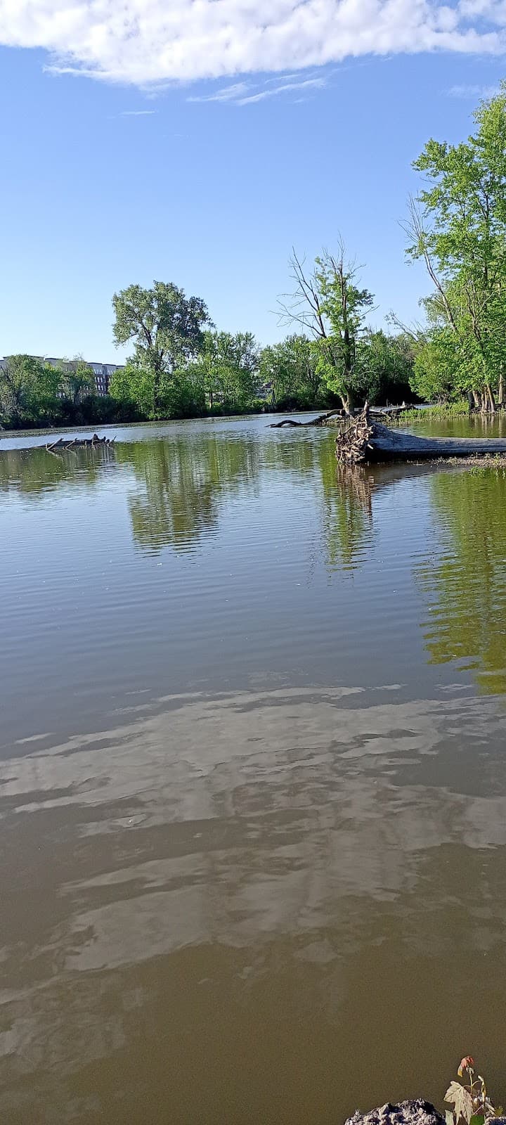 Iowa River Landing - Image 1