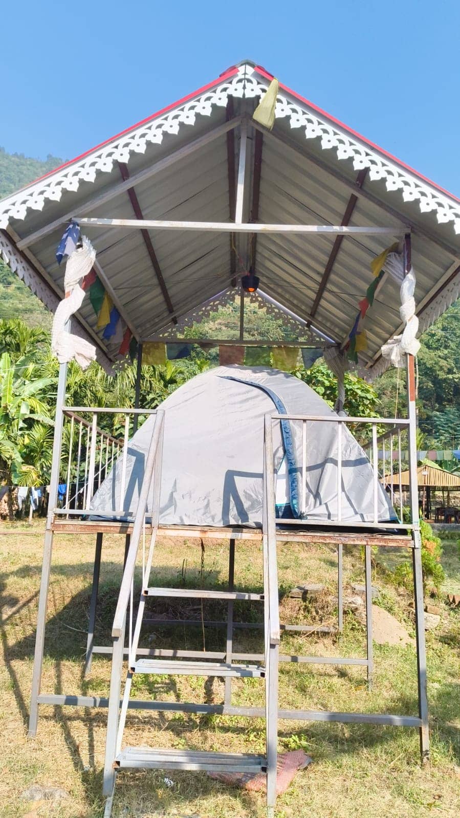 Warm Hospitality and Local Flavors