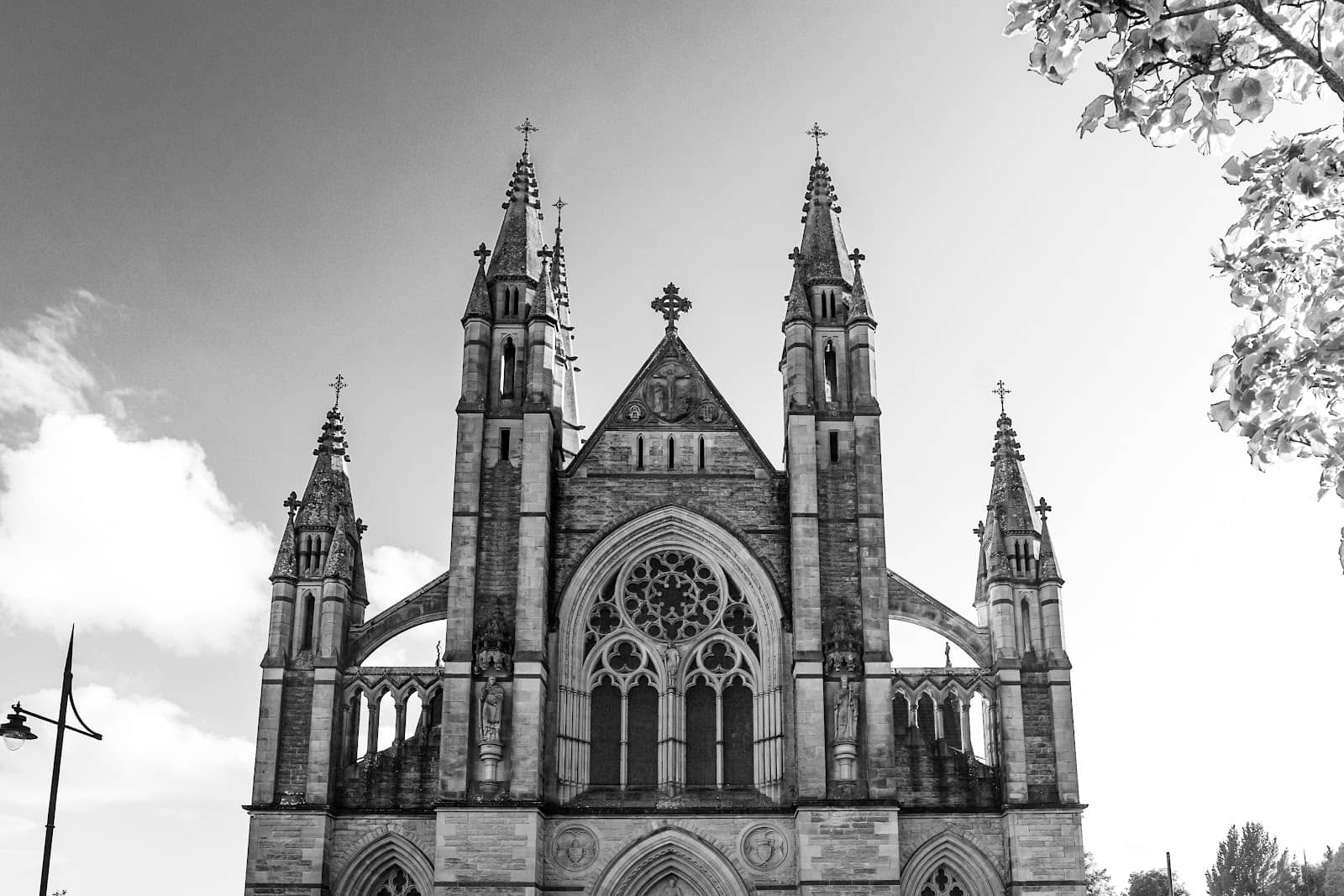 Vertical photo