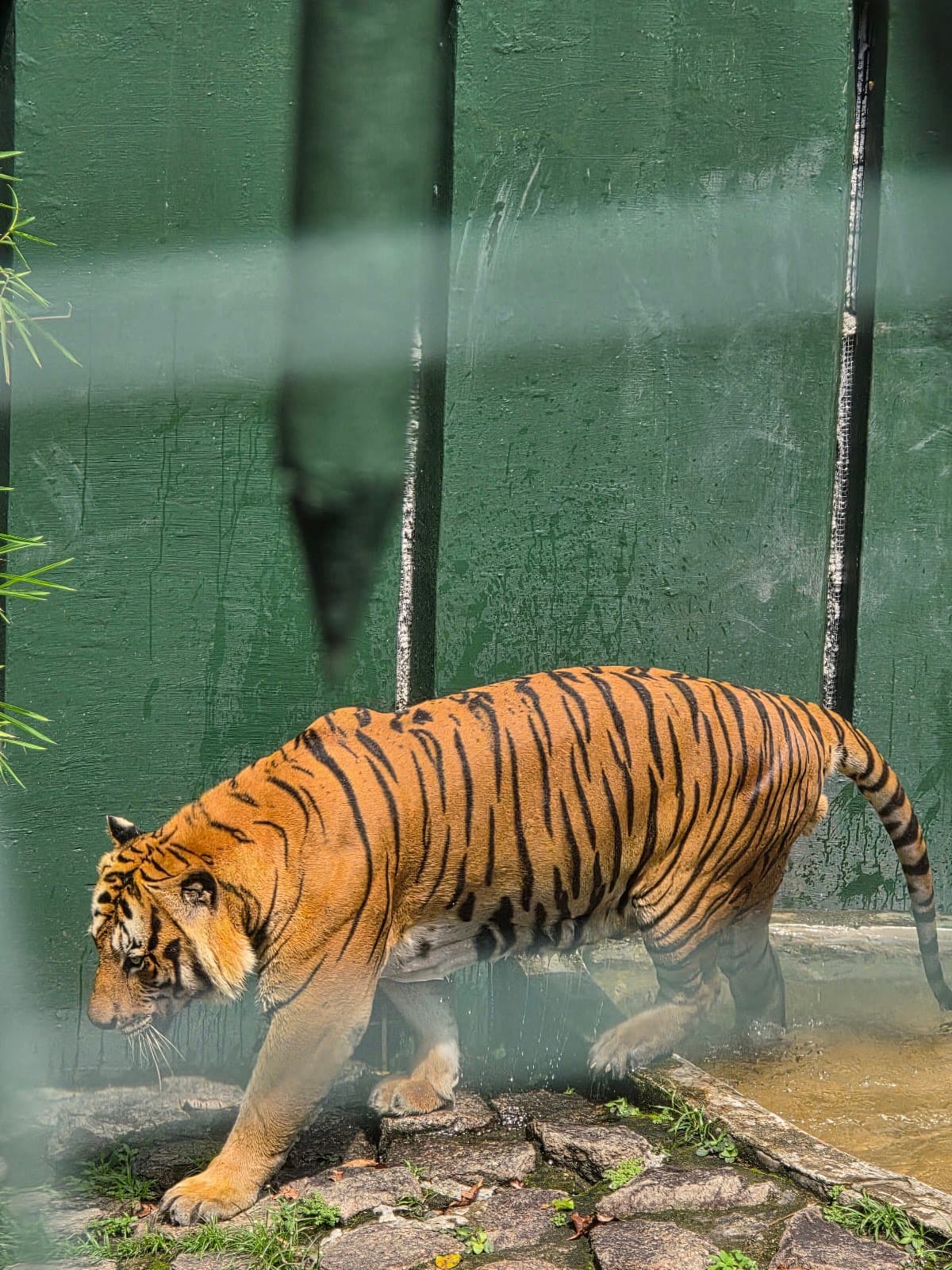 Johor Zoo - Image 1