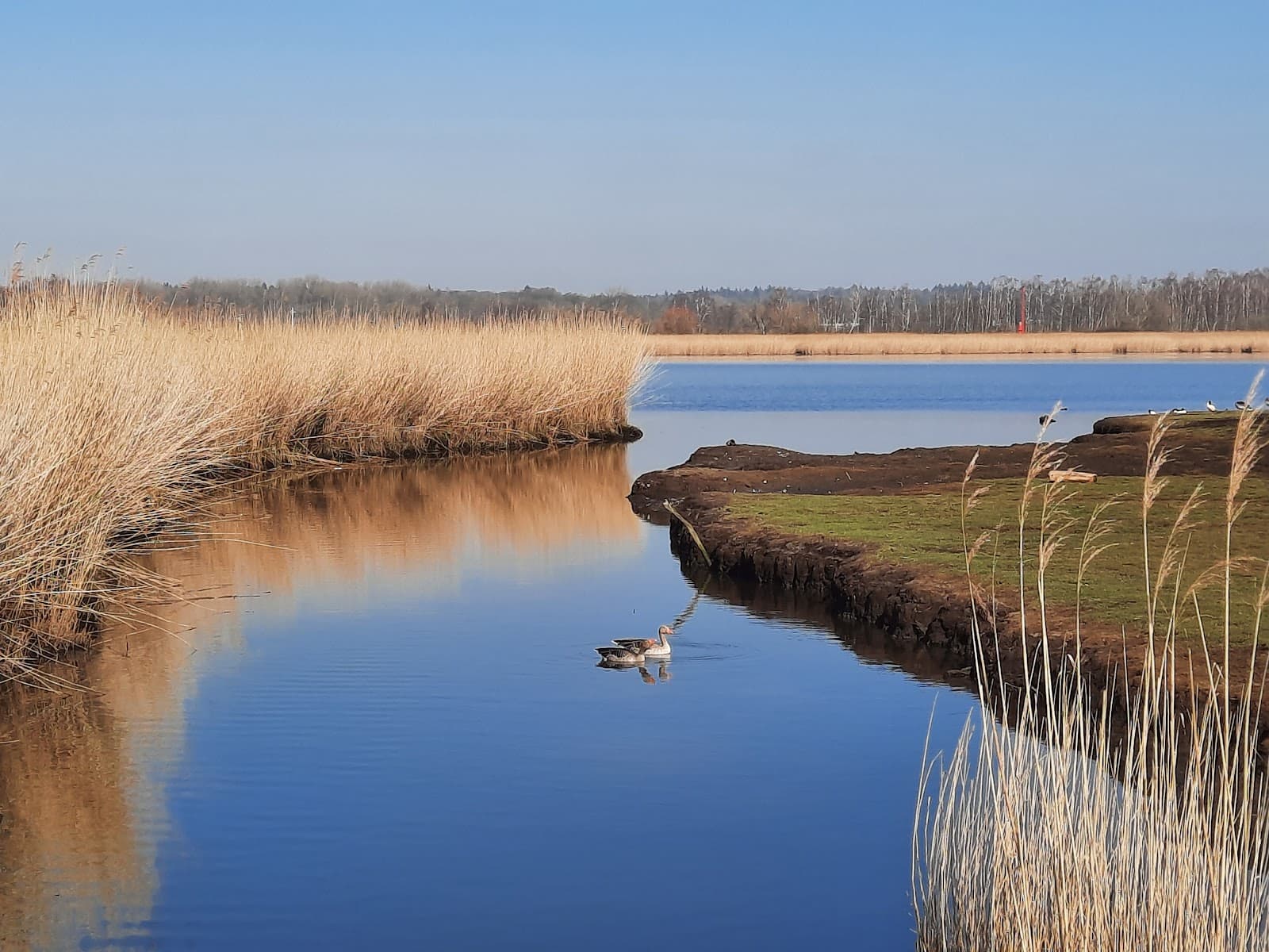 Schellbruch Nature Reserve - Image 1