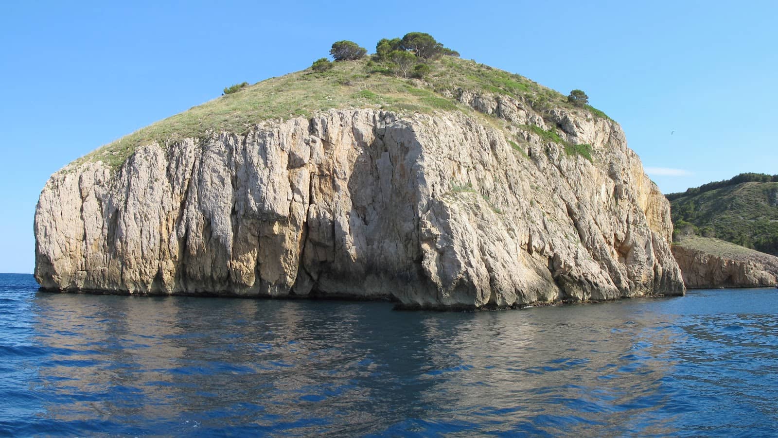 Tranquil Nature Walk