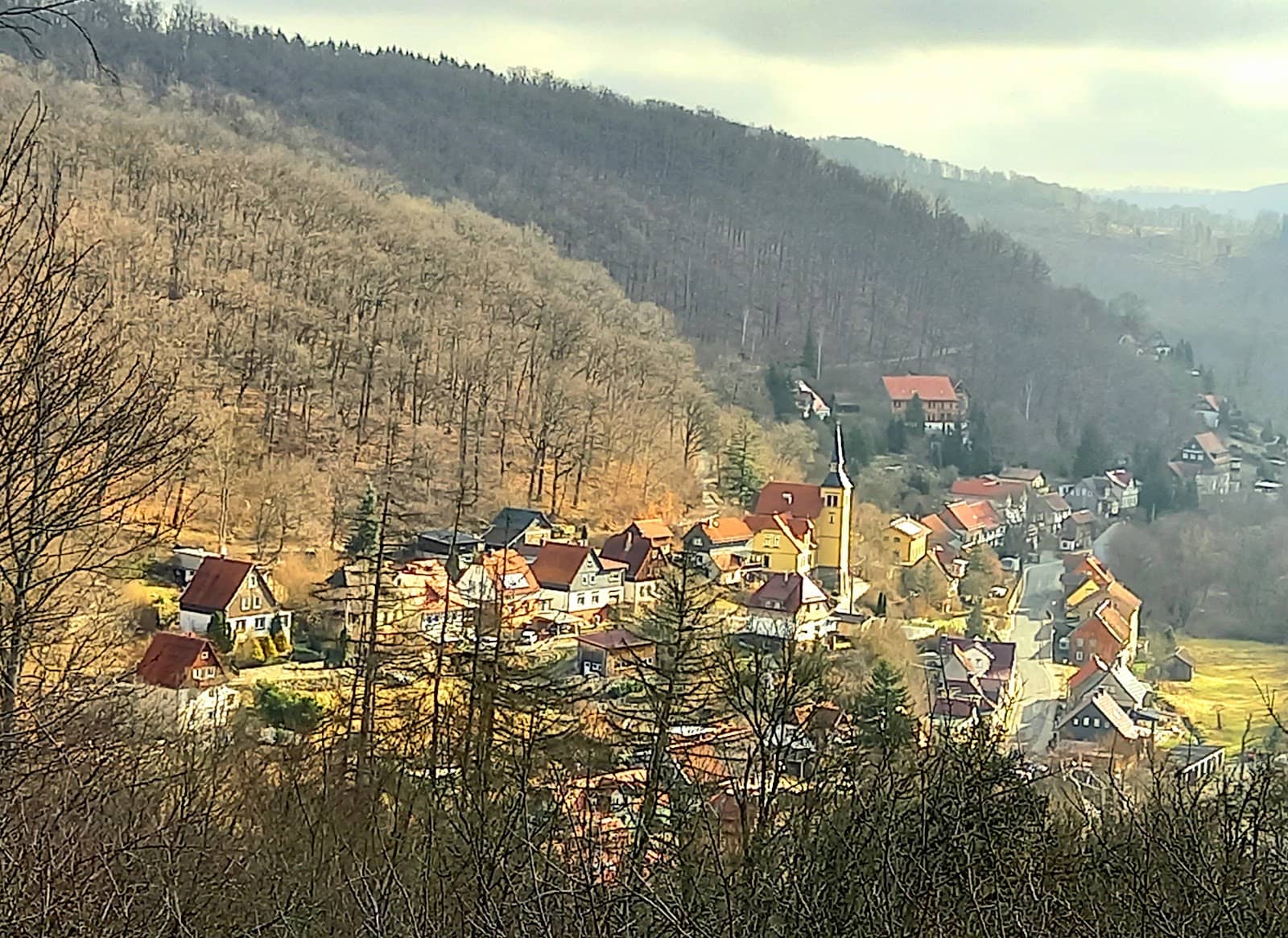 Harz Narrow Gauge Railway