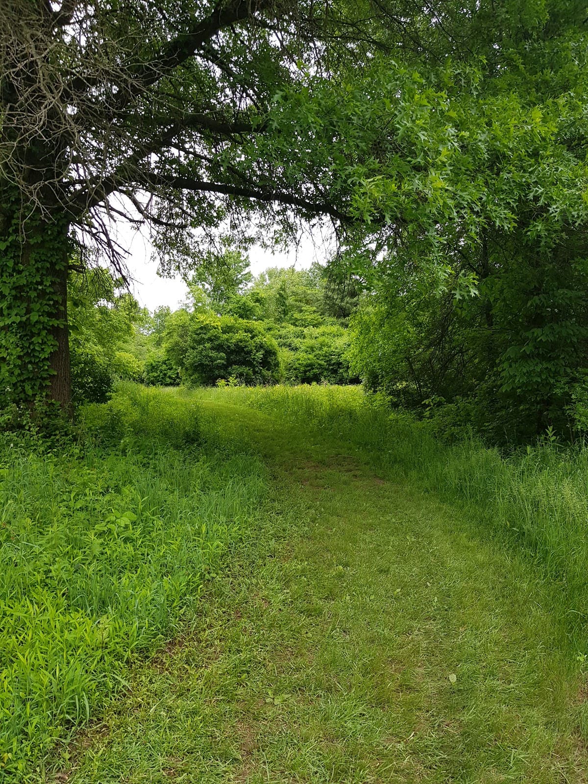 Blendon Woods Metro Park - Image 1