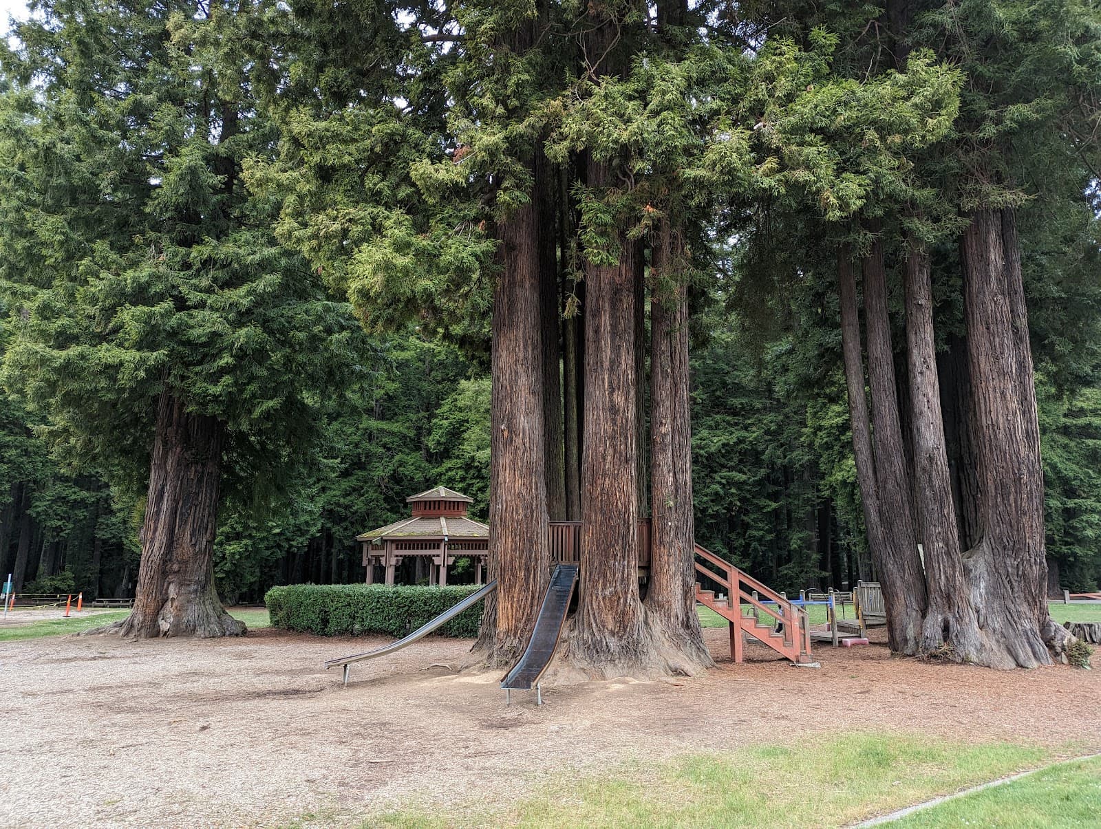 Sequoia Park Eureka California - Image 1