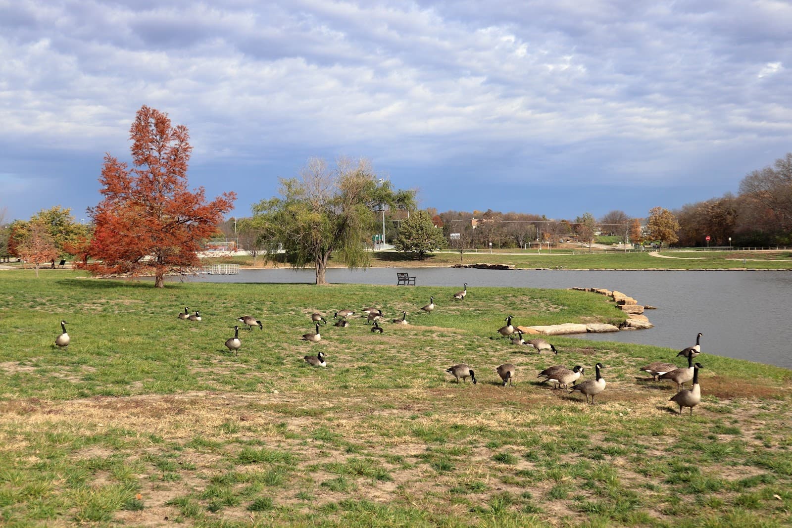 Anneberg Park - Image 1