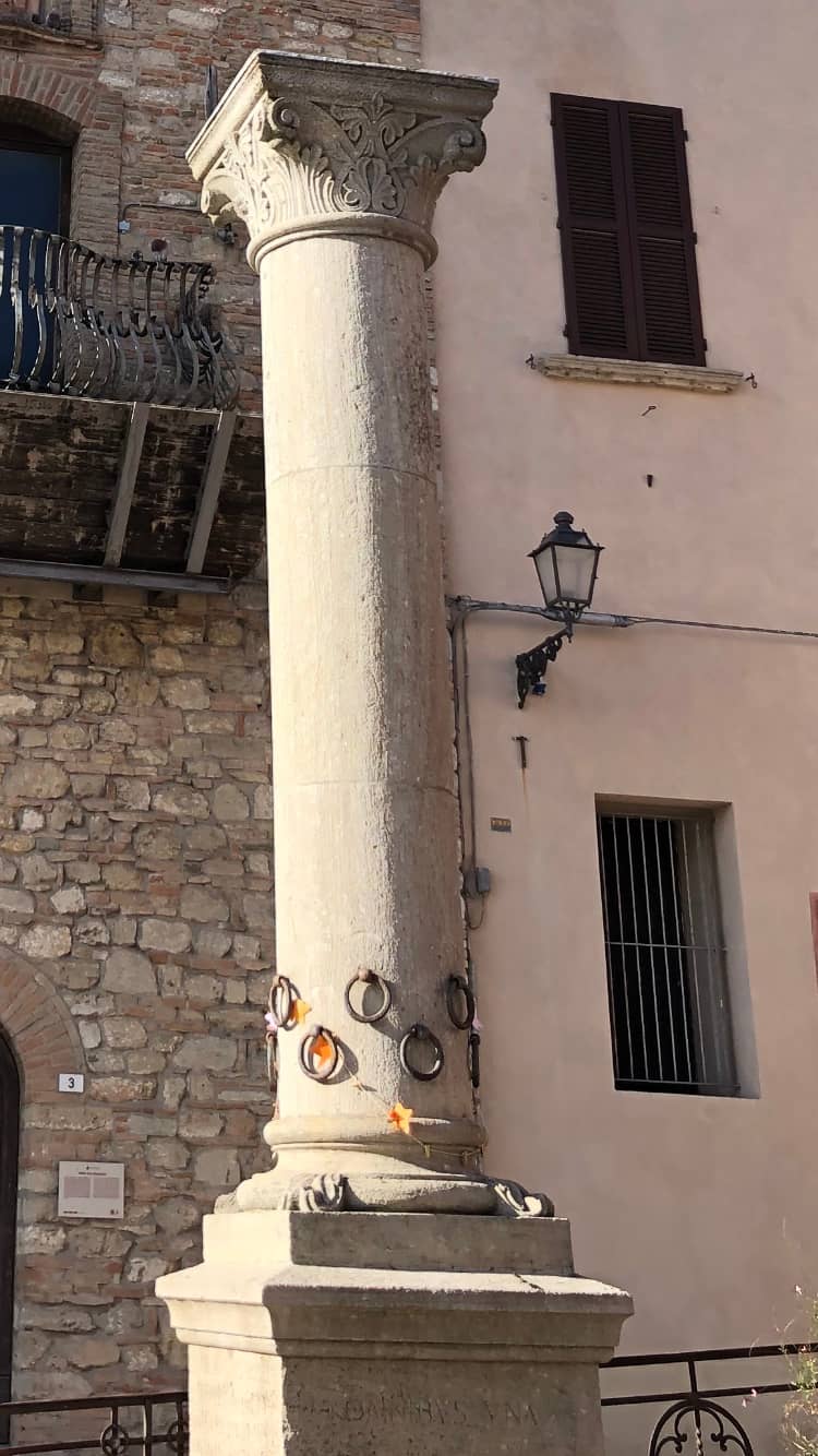 Vertical photo