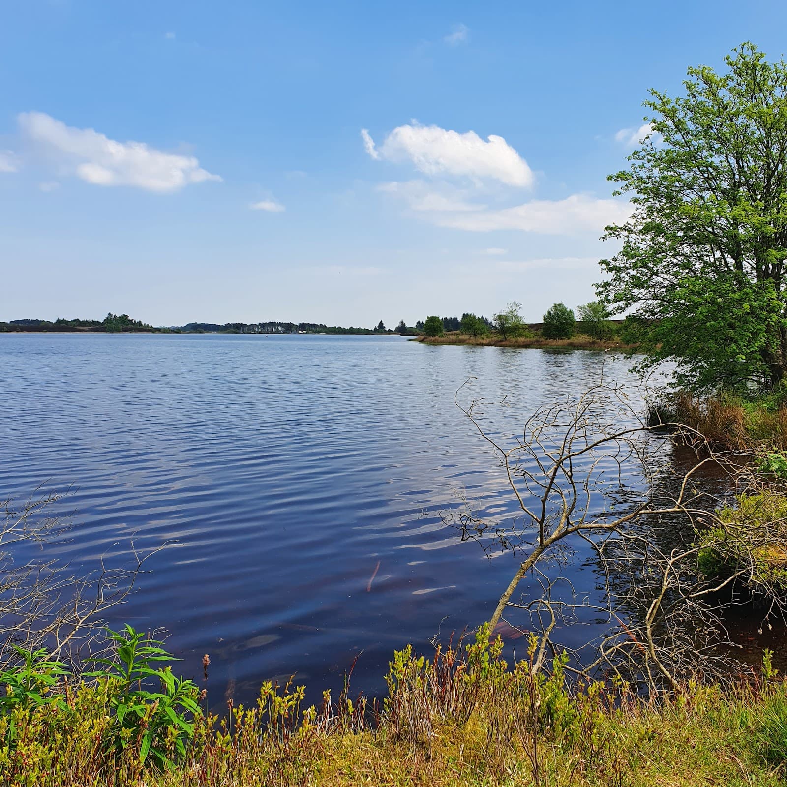 Fannyside Lochs and Moss - Image 1