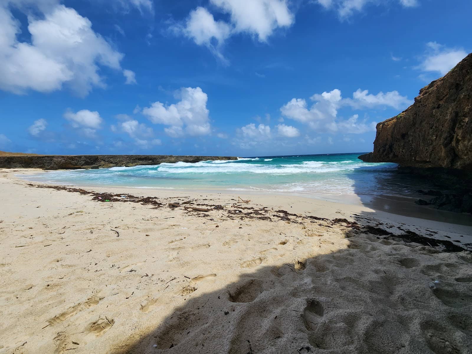 Wild Coastal Scenery