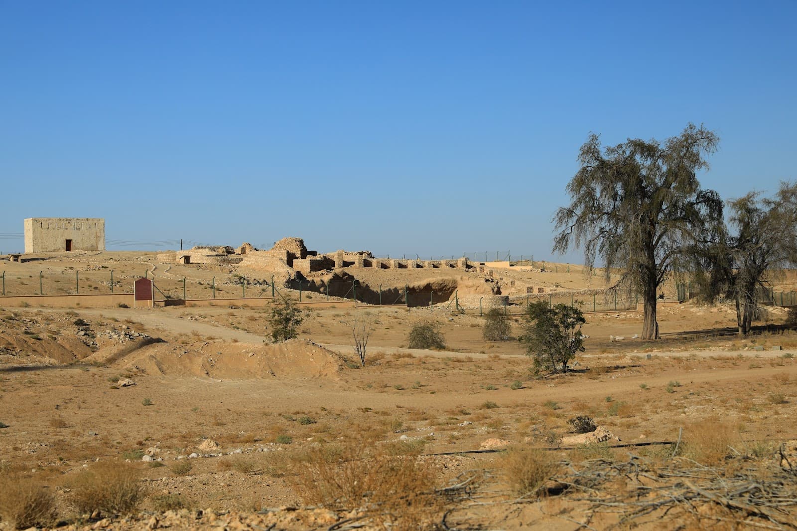 Shisr Ubar - Image 1
