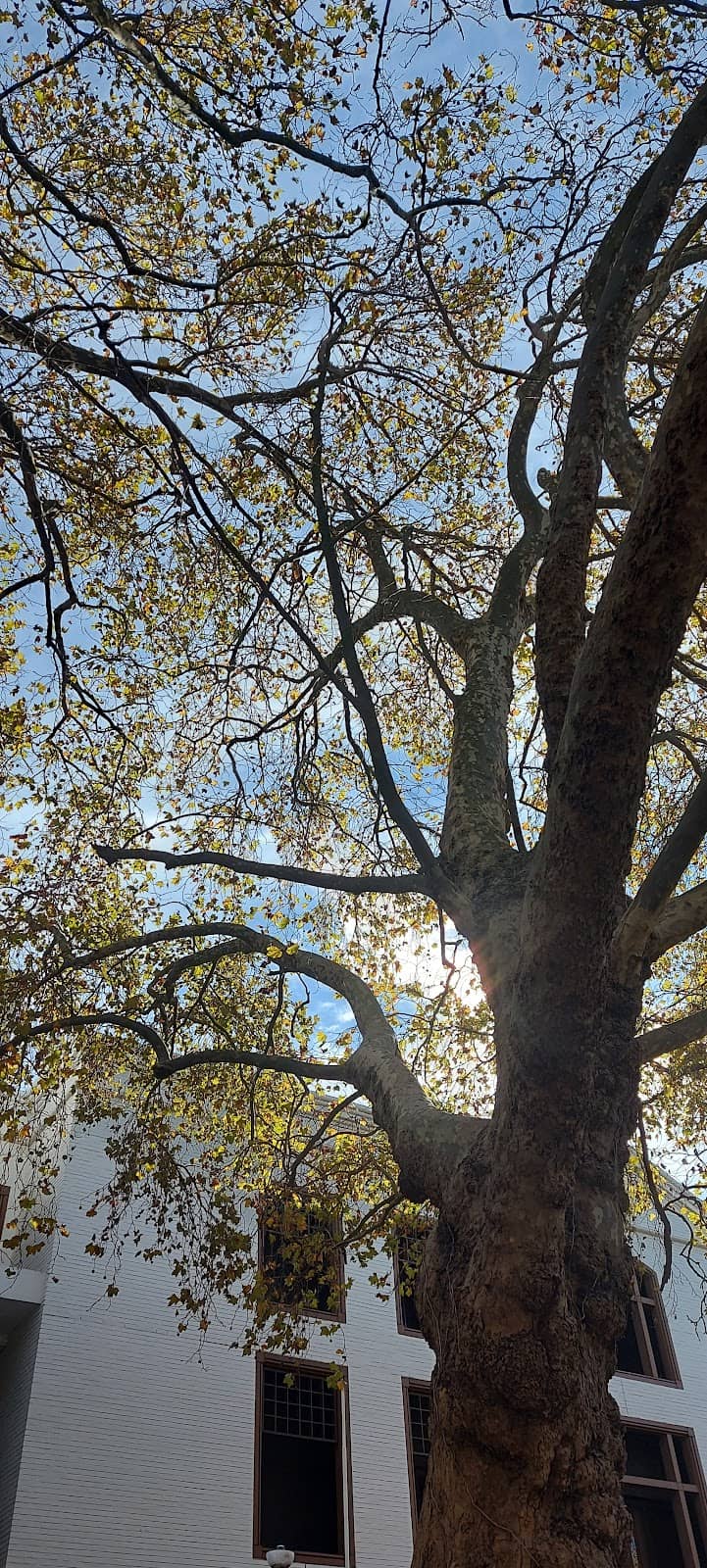 Vertical photo