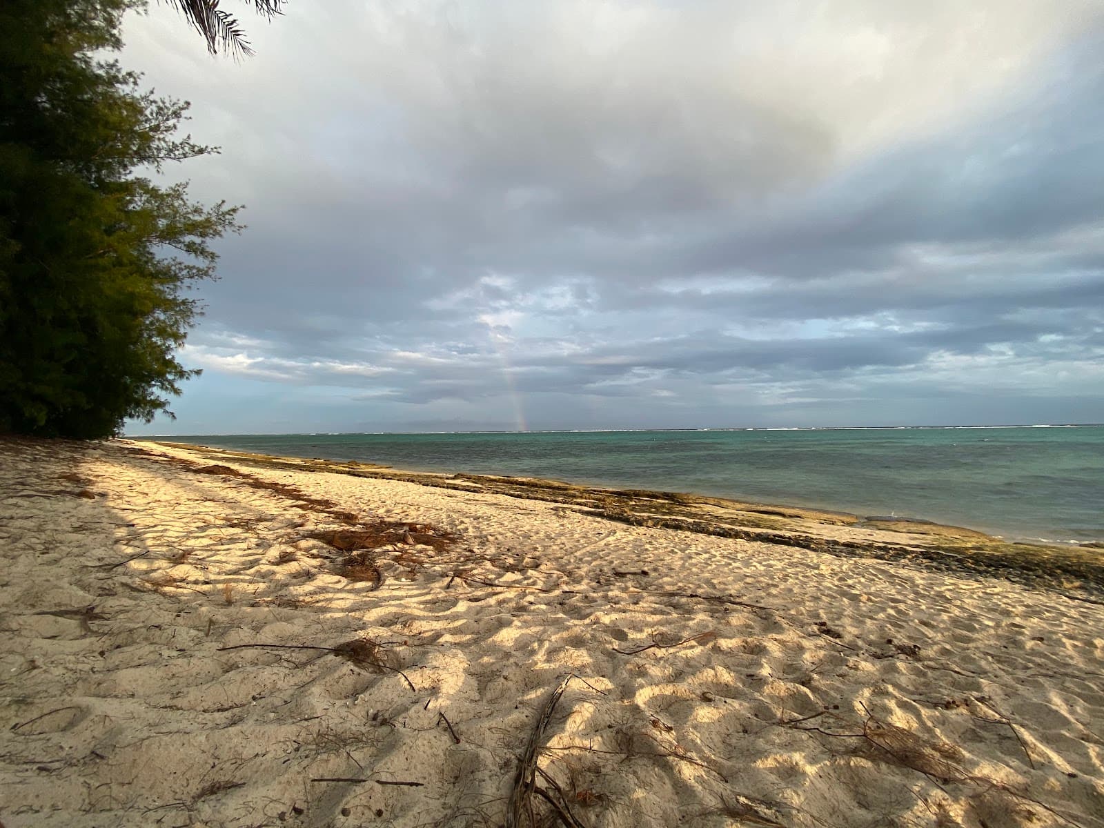 Tikioki Marine Reserve Rarotonga Cook Islands - Image 1