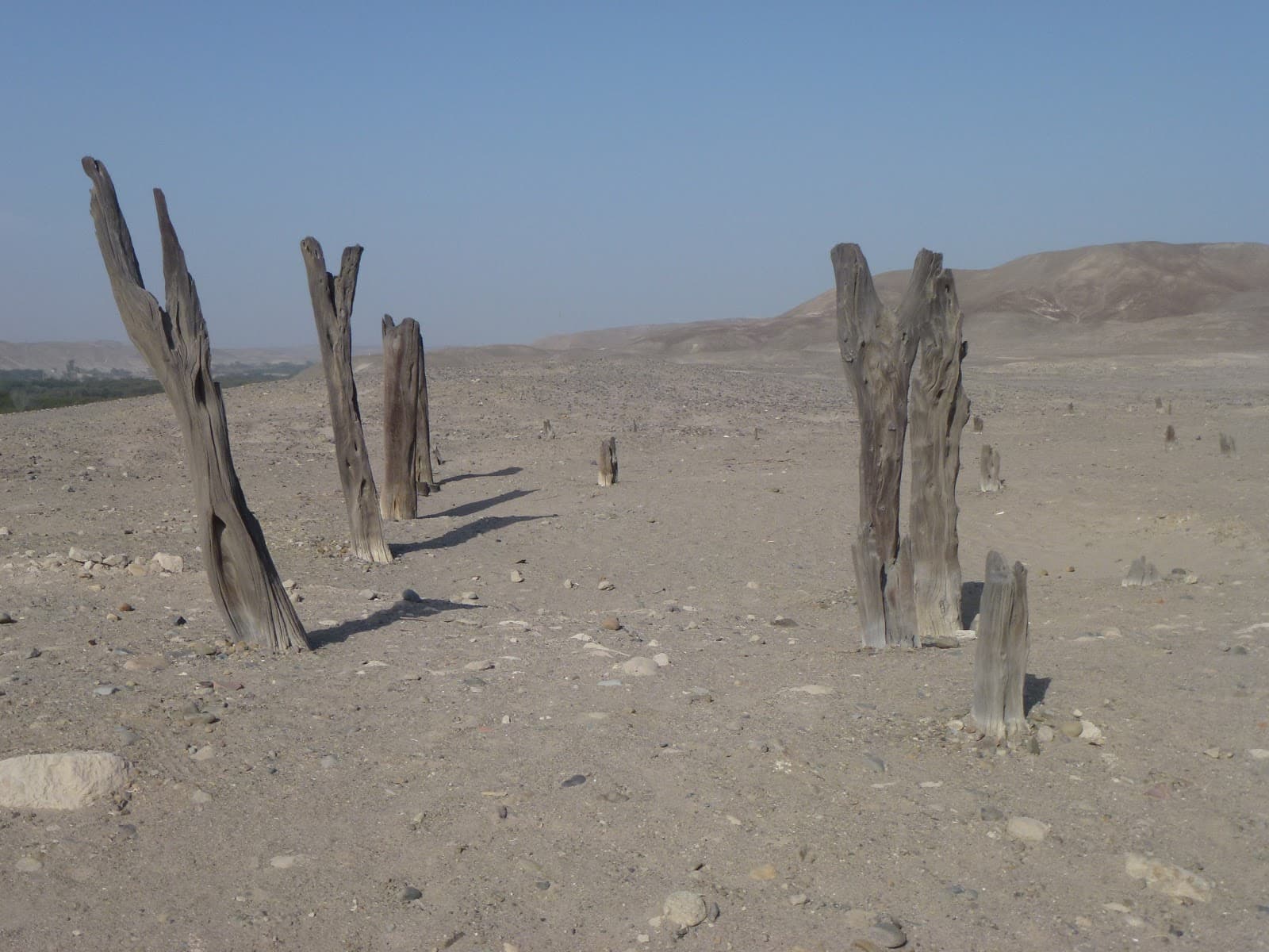 La Estaquería - Image 1