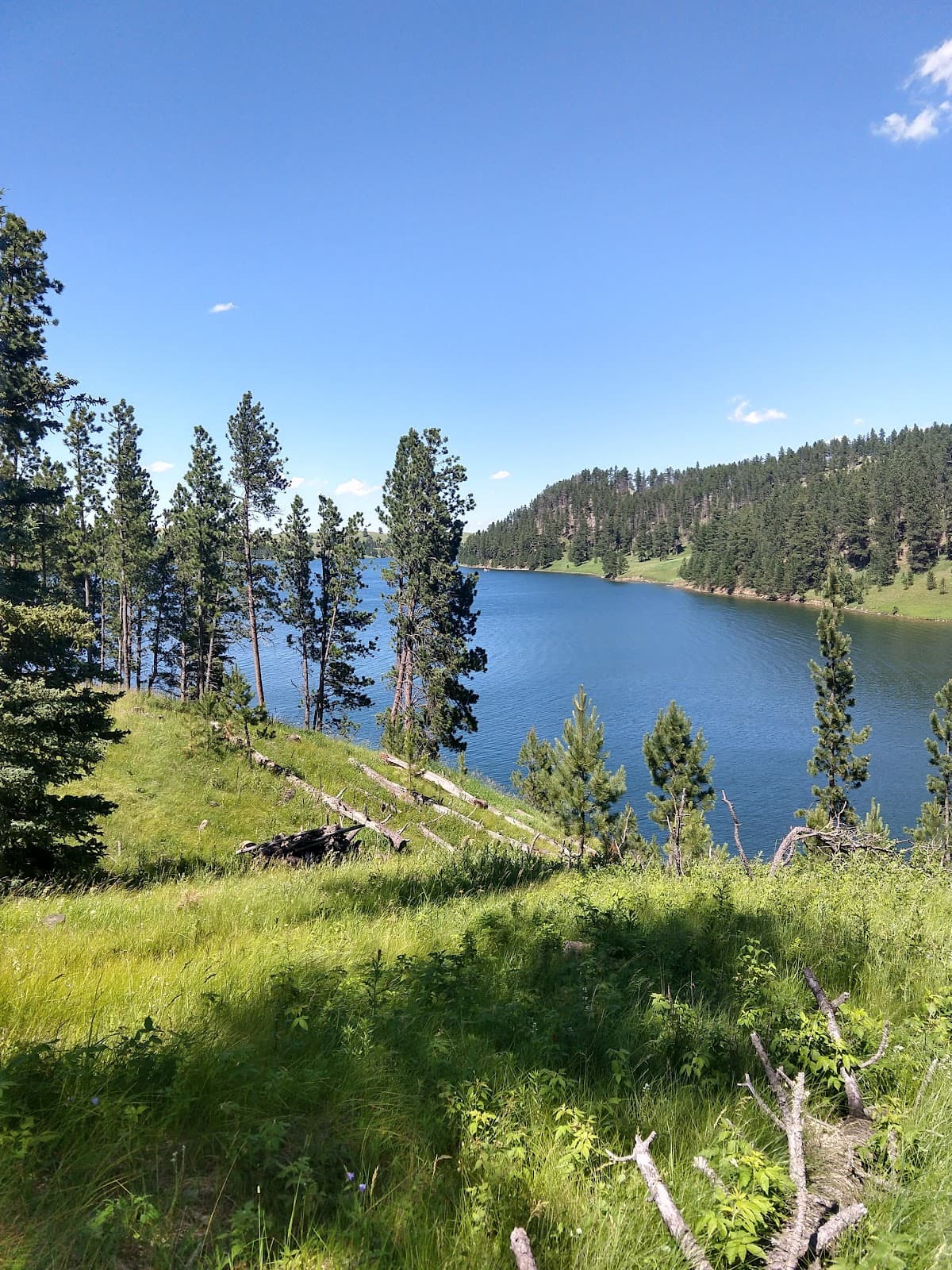 Deerfield Lake - Image 1