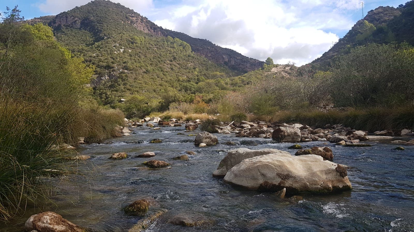 Guadiaro River Estuary - Image 1