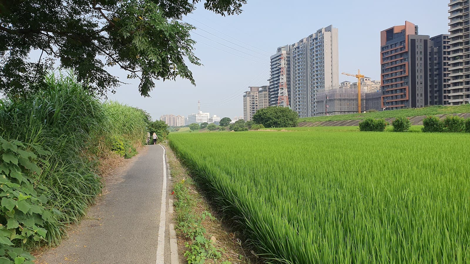 Keya Riverside Park (Zhubei) - Image 1