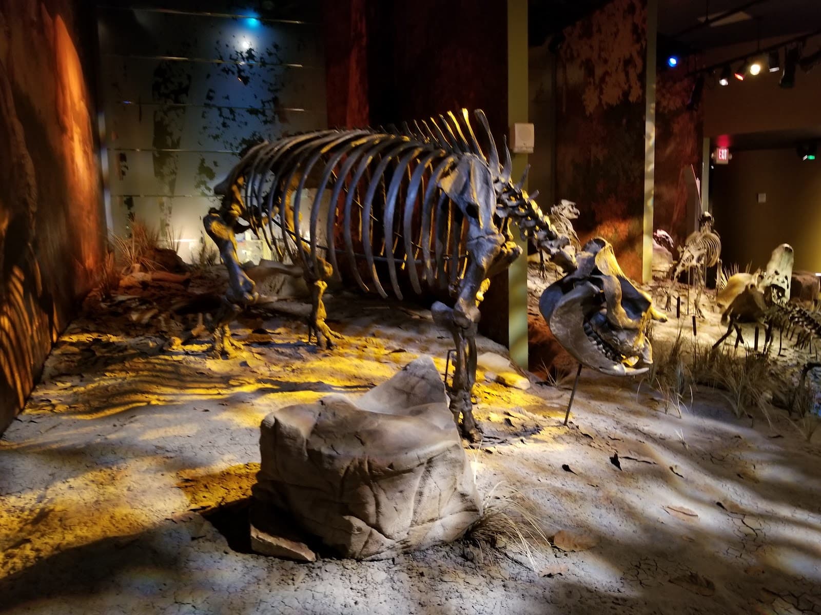 Gray Fossil Site & Hands On! Discovery Center - Image 1
