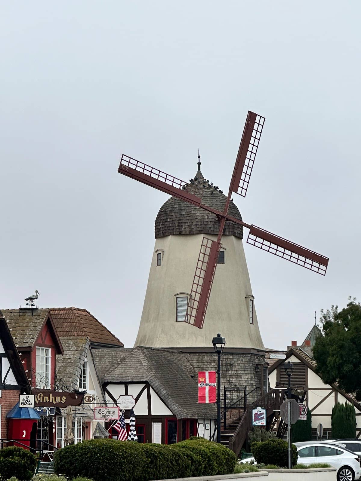 Local Bakeries & Pastries