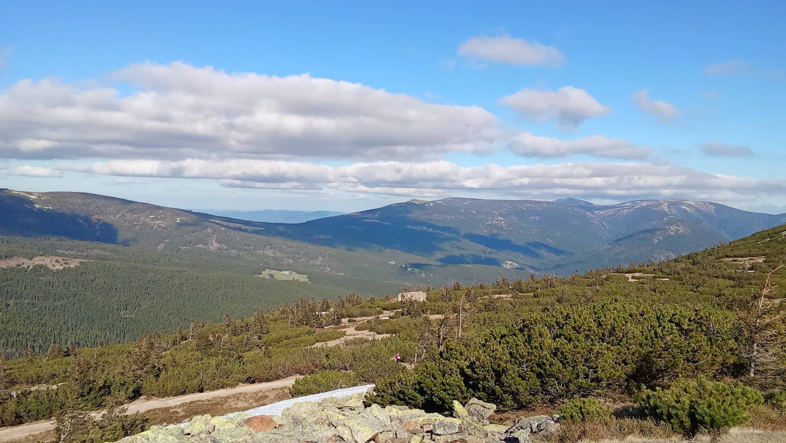 Peaceful Place of Worship