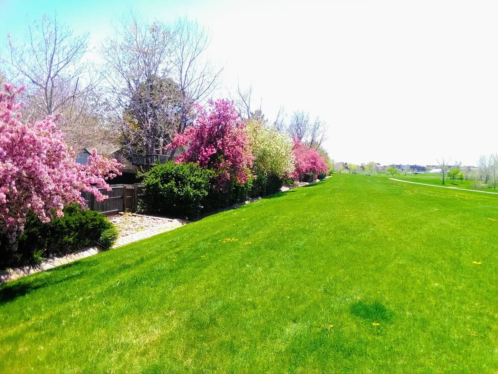 Shanghai's Greenhouse Charm