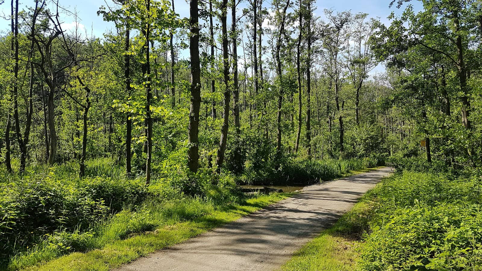 Emscherbruch Scenery