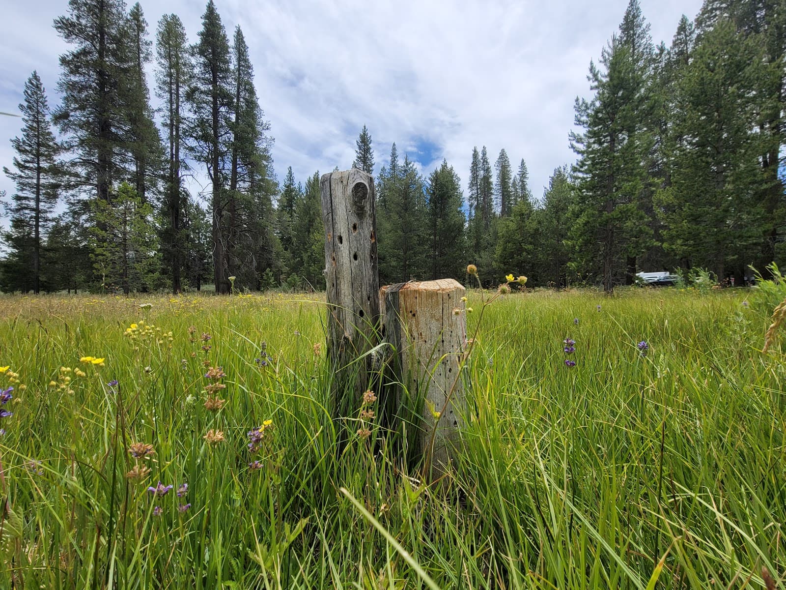 Donner Party Alder Creek Site - Image 1