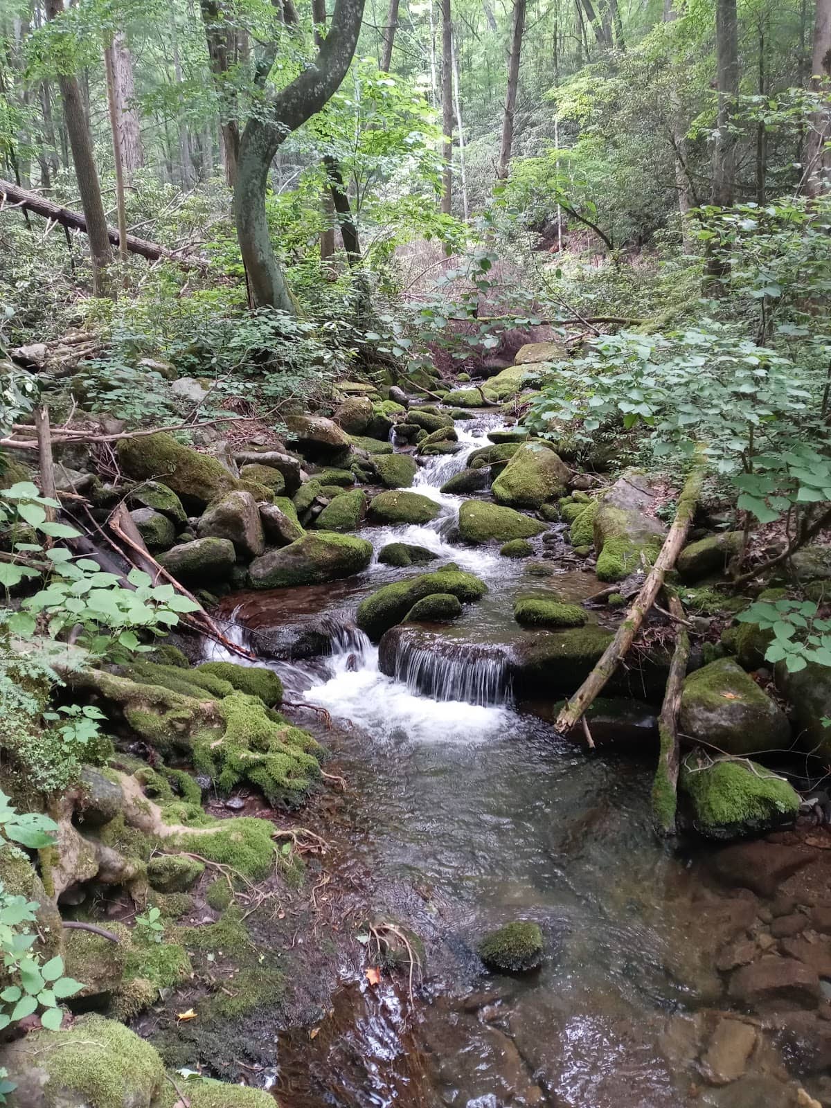 Vertical photo