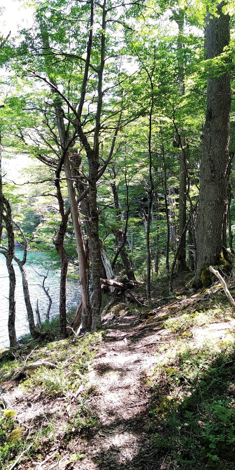 Vertical photo