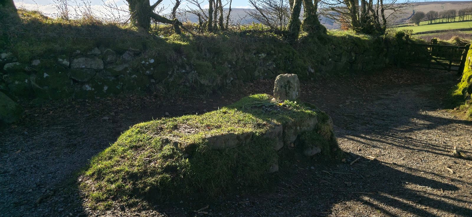Jay's Grave - Image 1