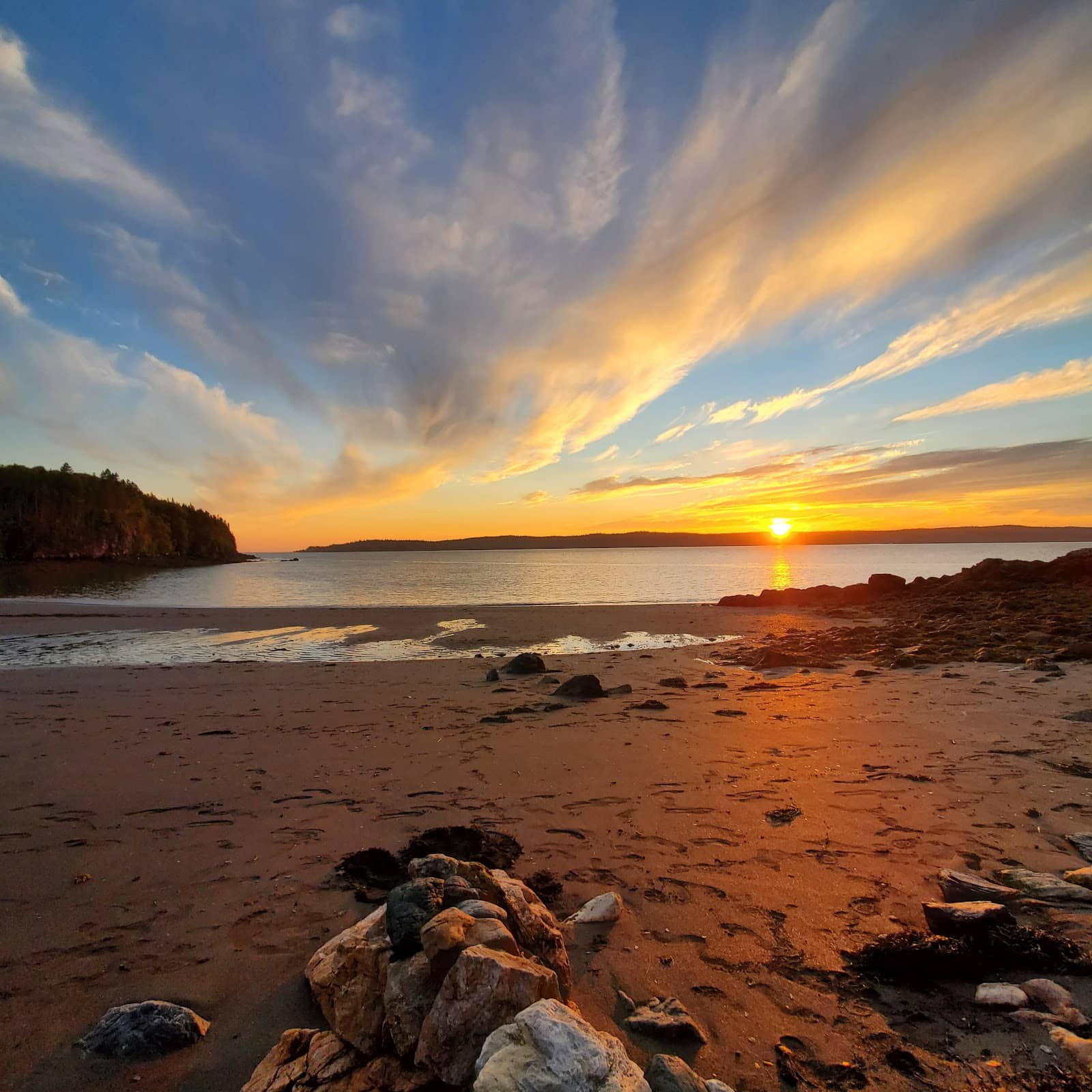Tidal Pools and Wildlife