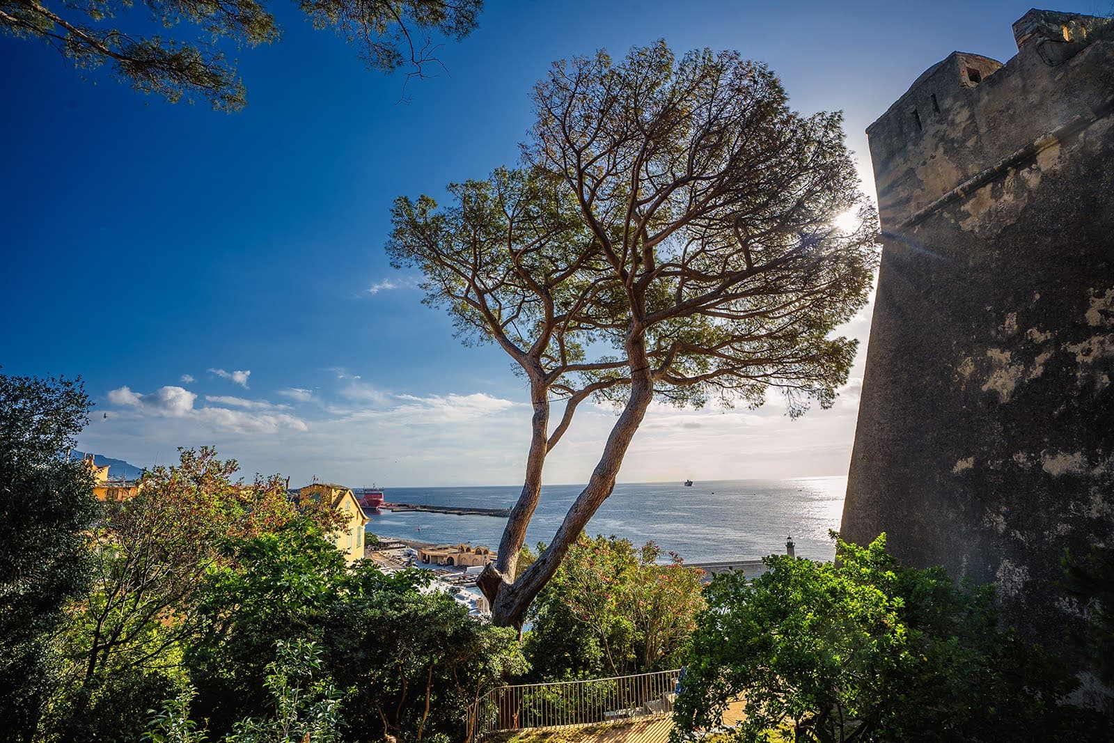 Jardin Romieu - Image 1