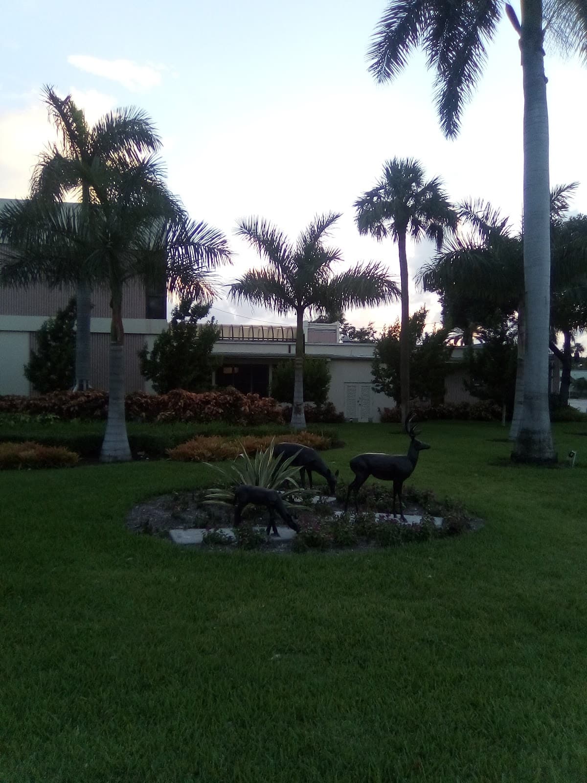 The Great Lawn - Image 1