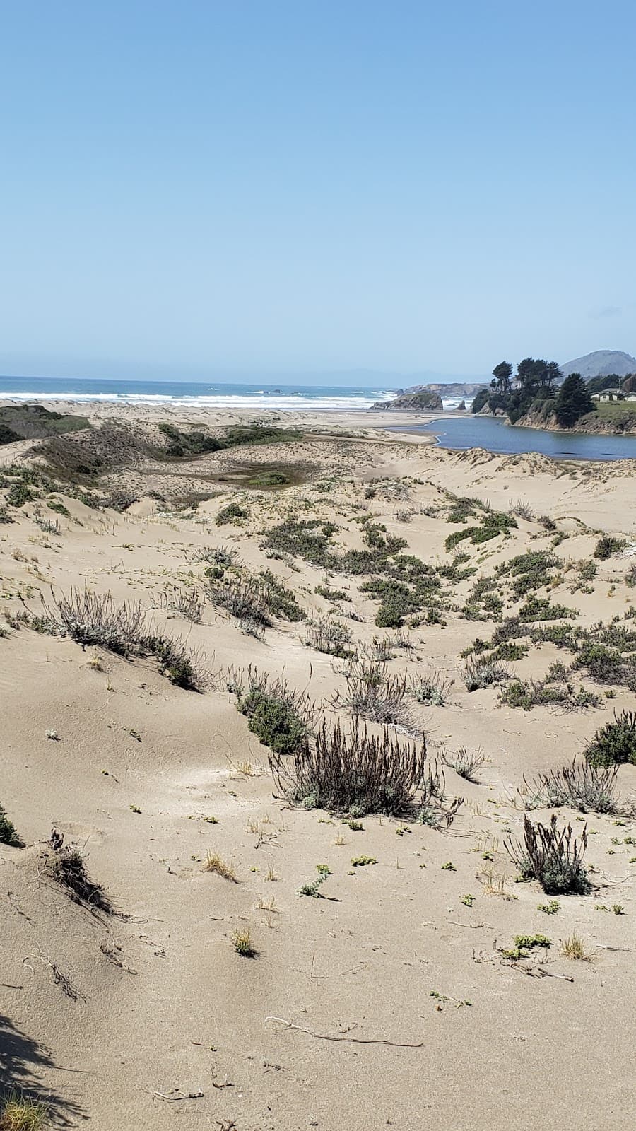 Inglenook Fen-Ten Mile Dunes - Image 1