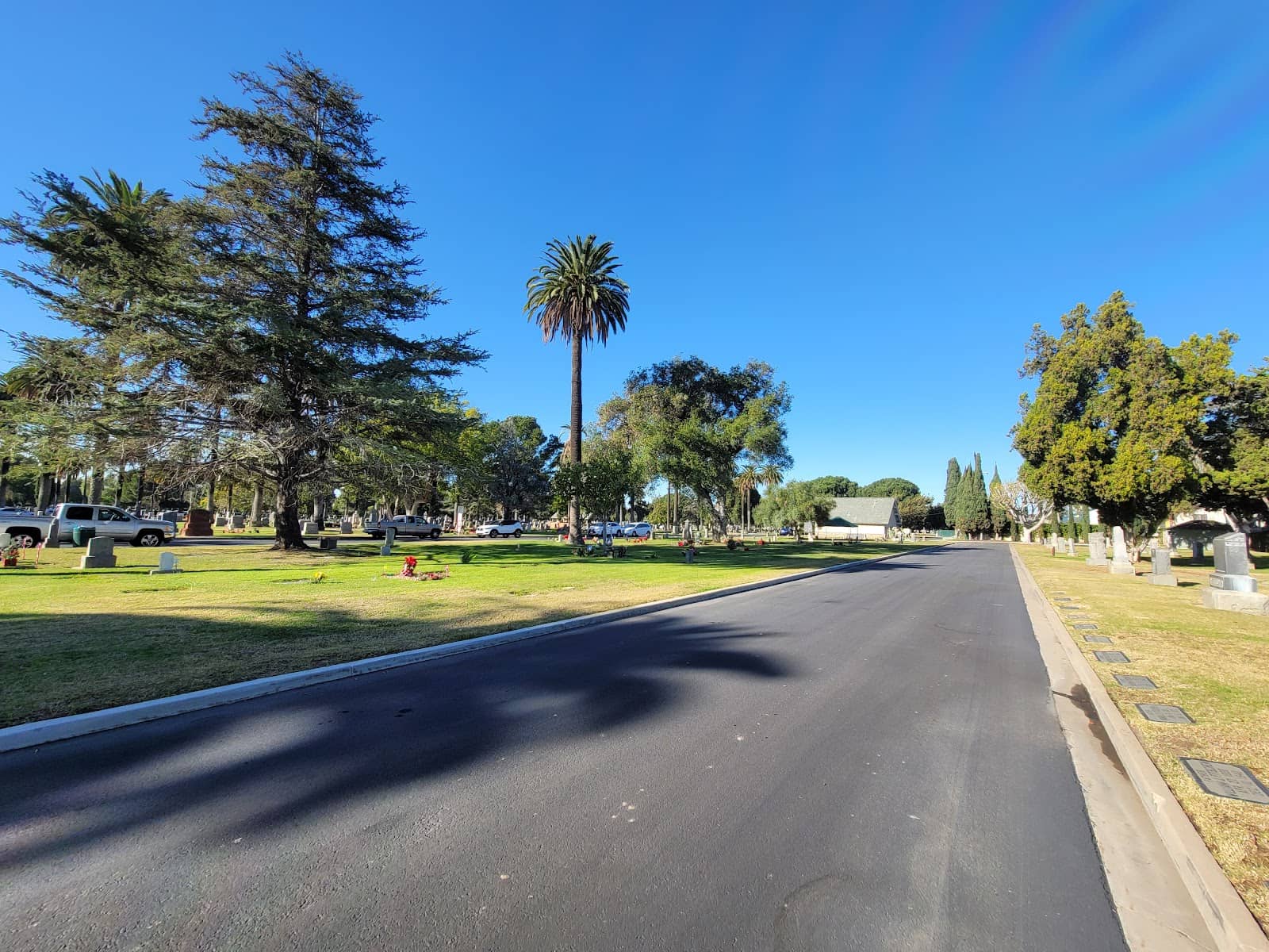 Well-Maintained Lawns