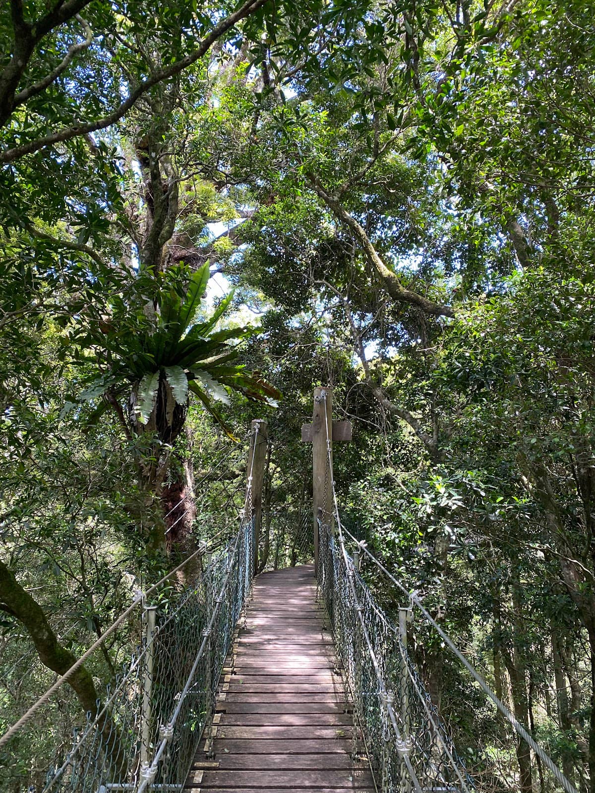 Bird Feeding and Wildlife Spotting