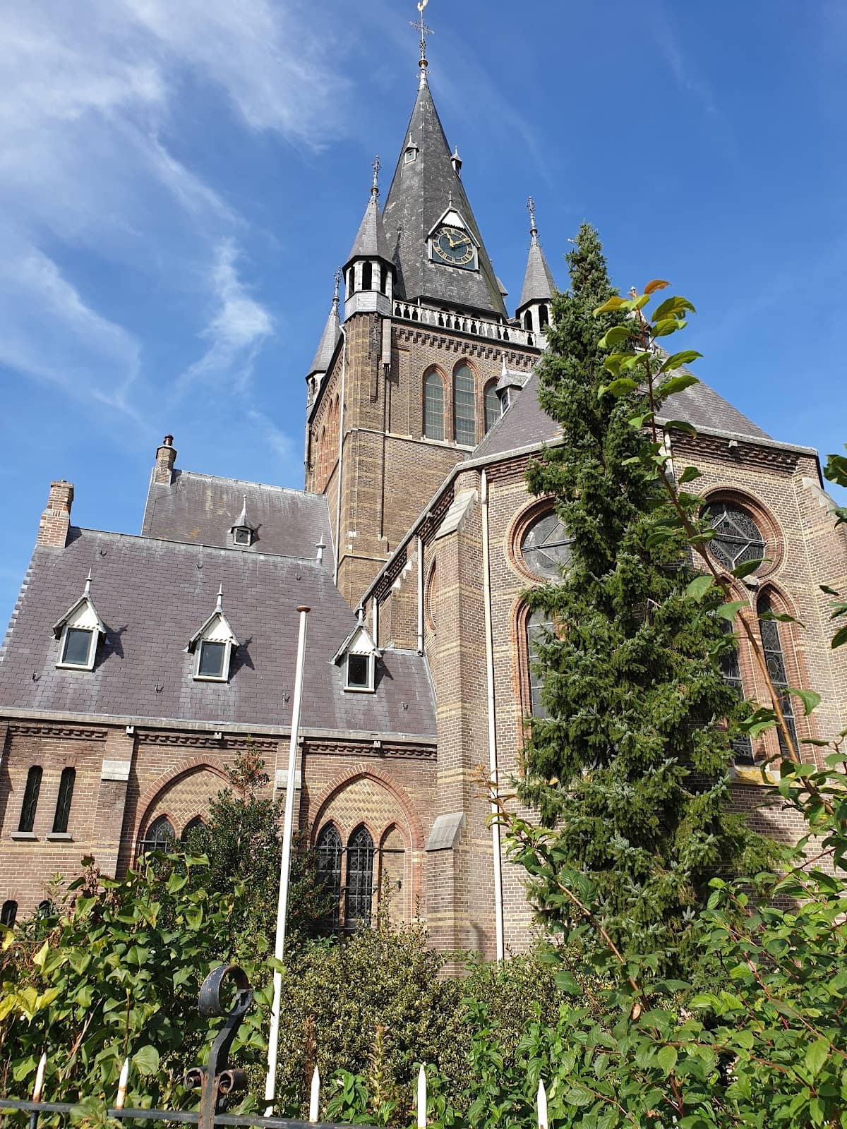 Vertical photo