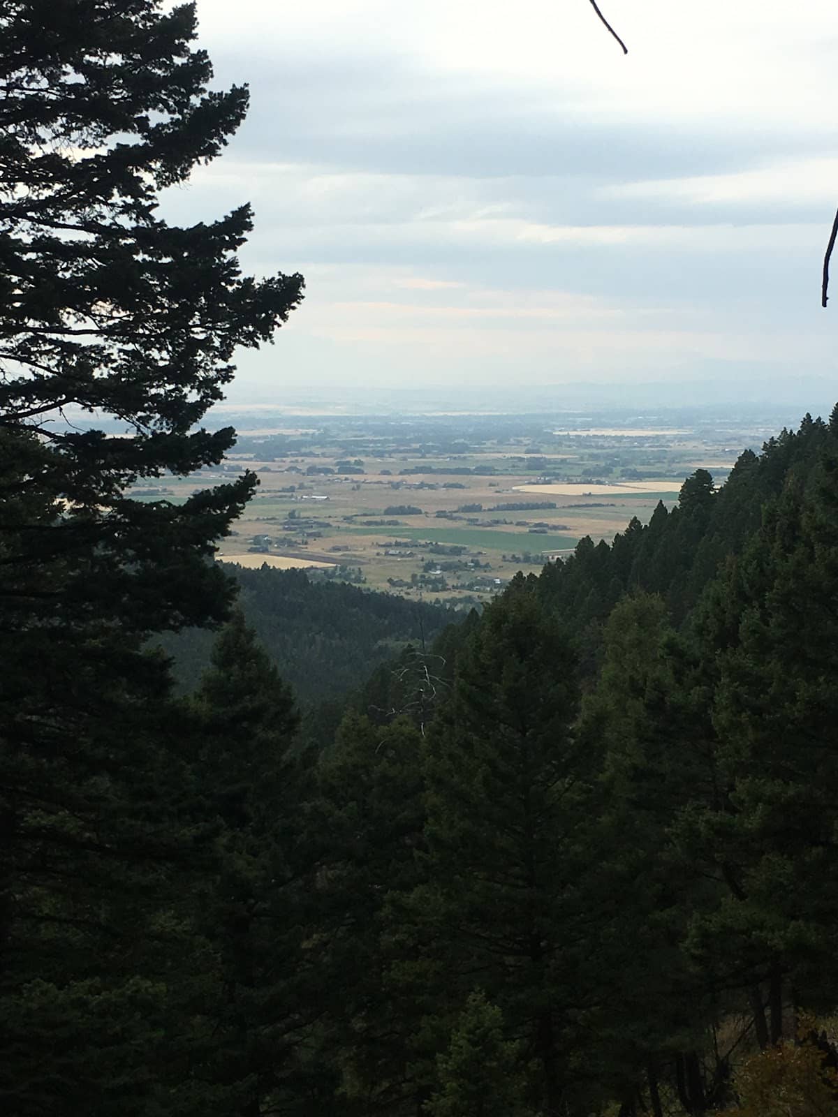 Ridge Views