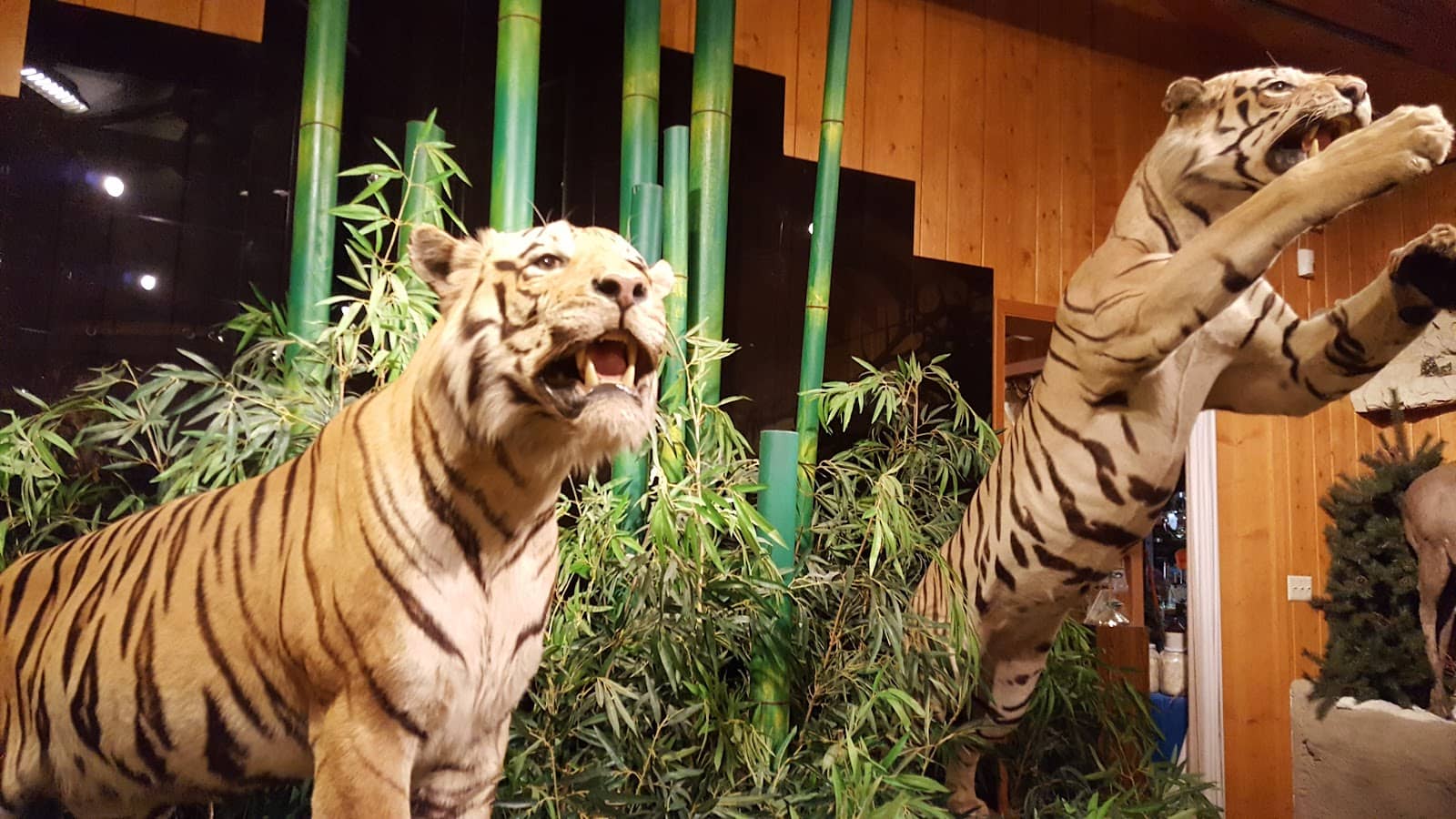 The Electrical Museum