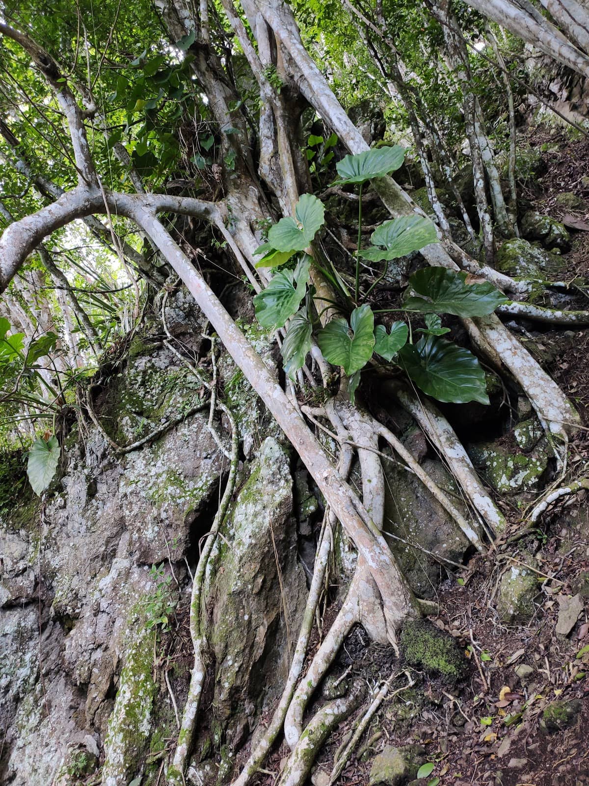 Vertical photo