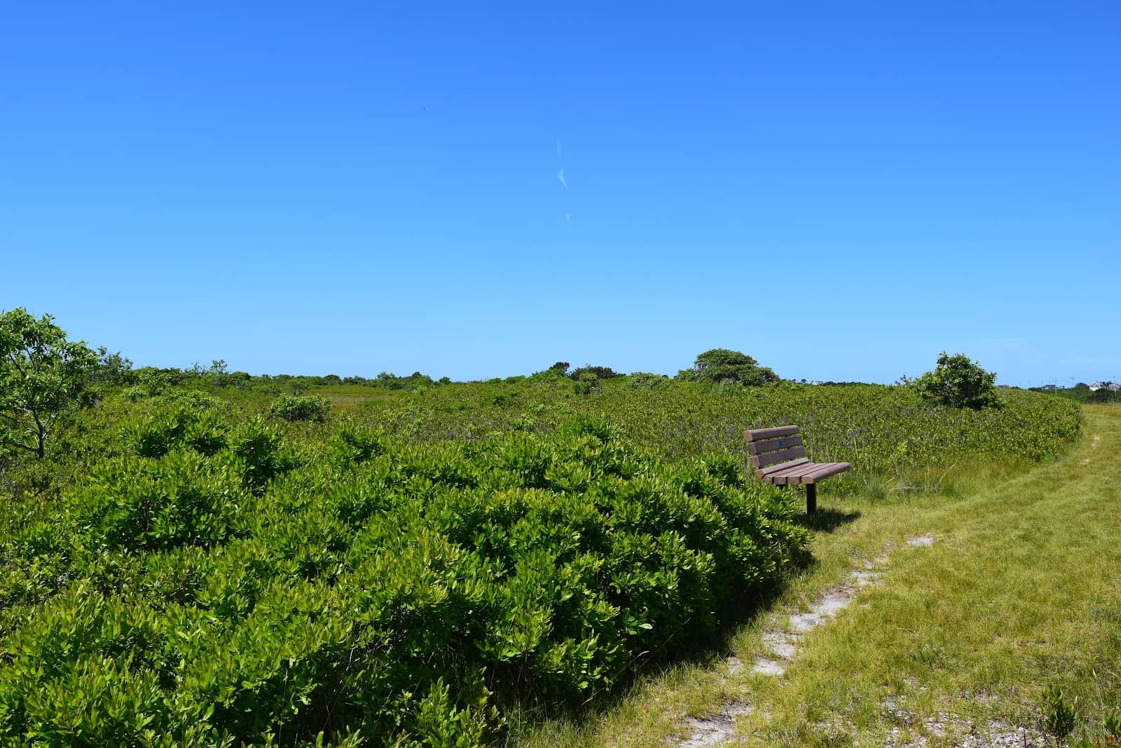 Diverse Island Habitats